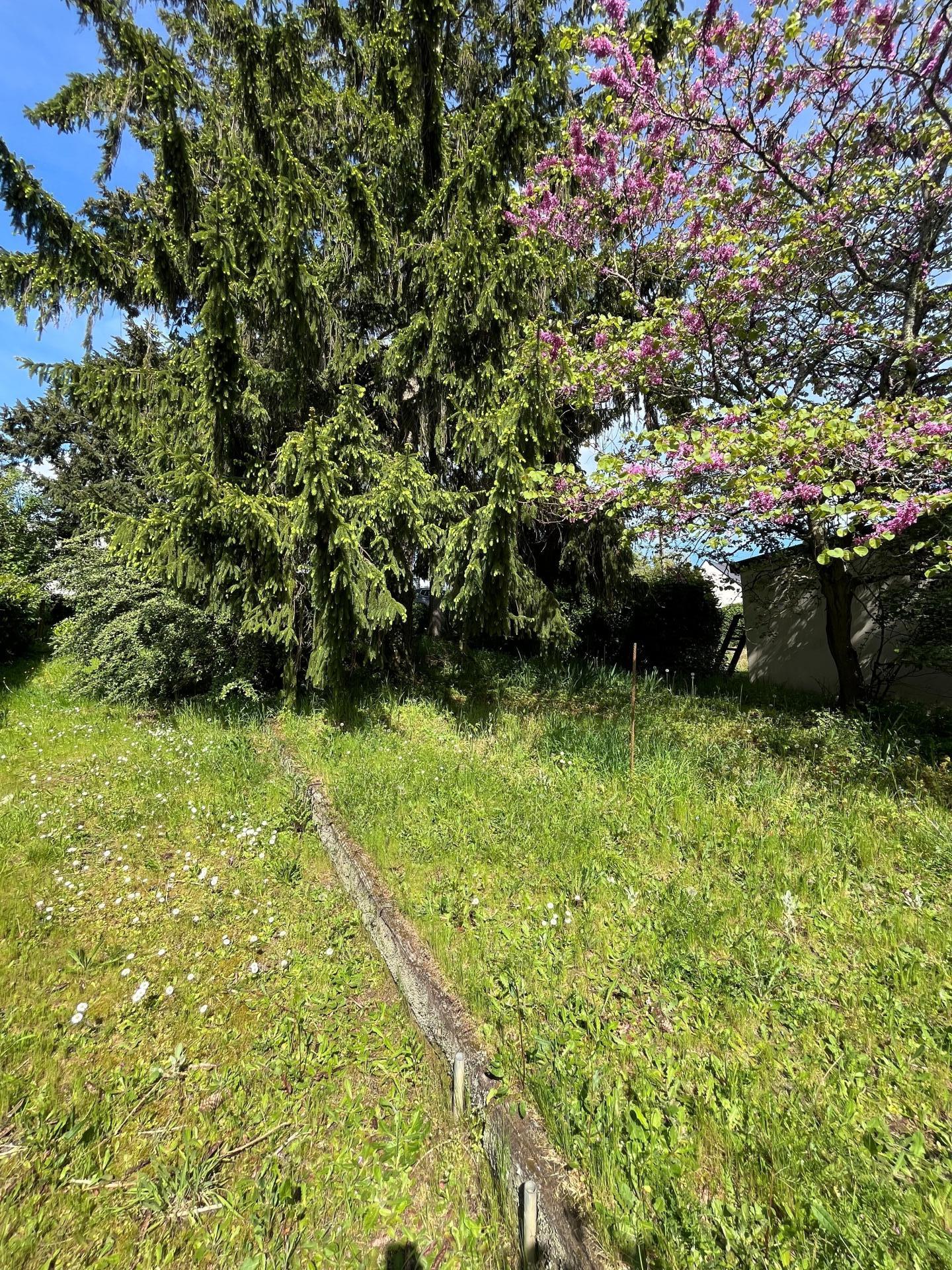 Photo-terrain