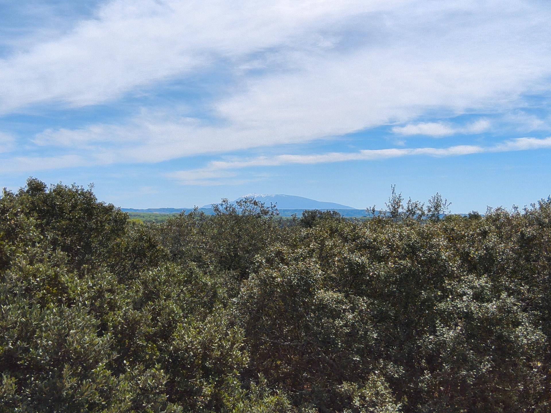 Photo 12 de l'annonce.