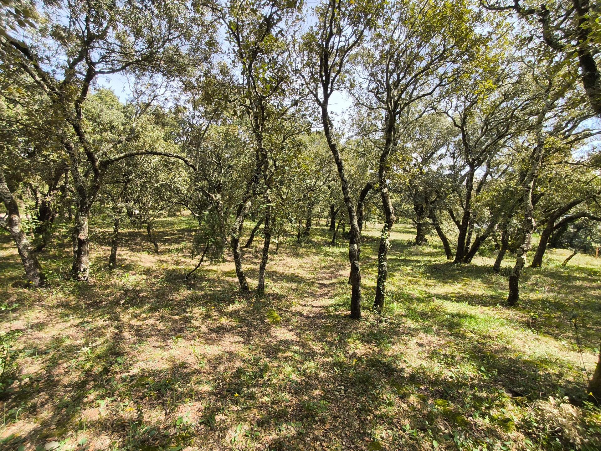 Photo 9 de l'annonce.