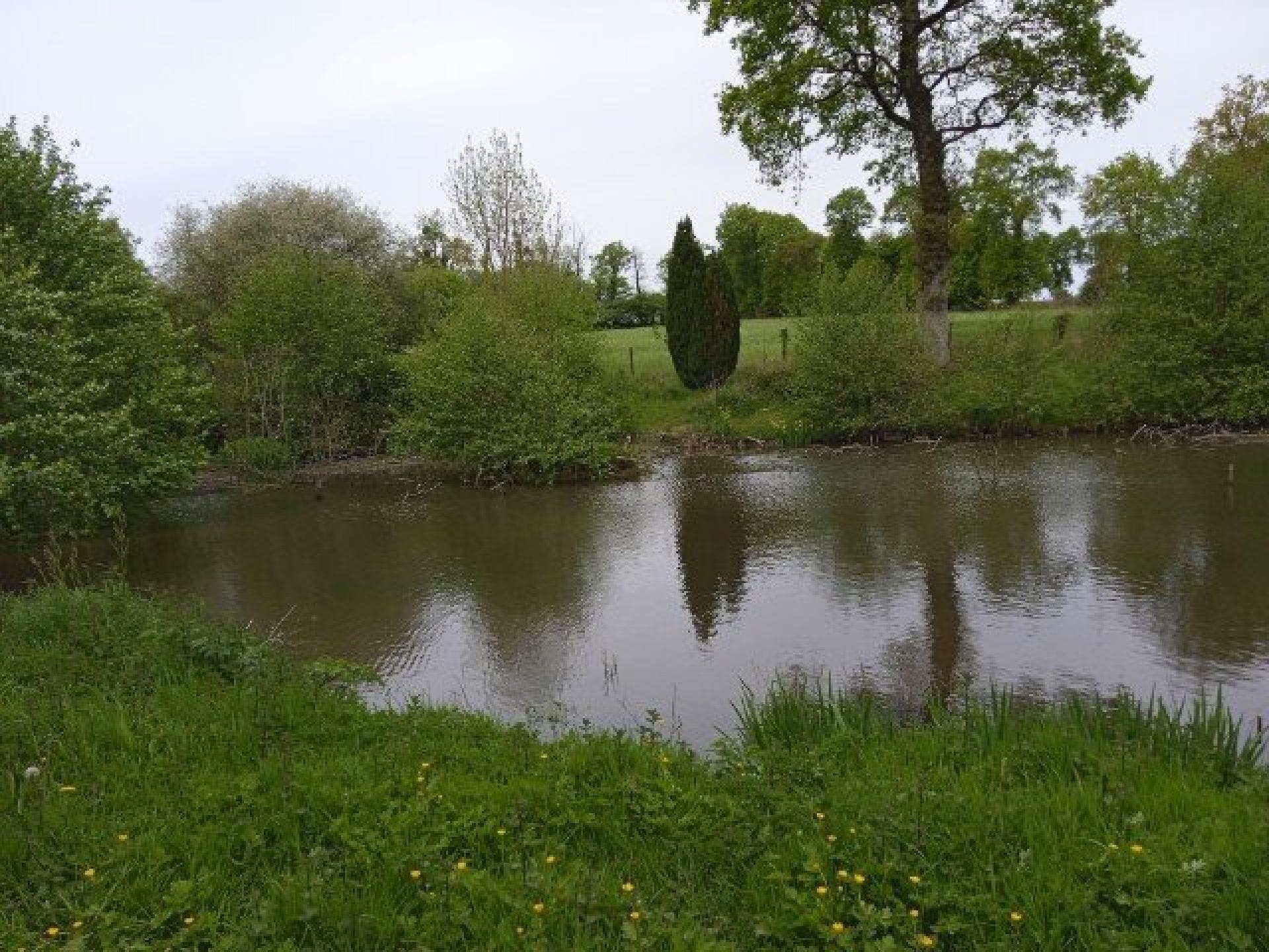 Photo 4 de l'annonce.