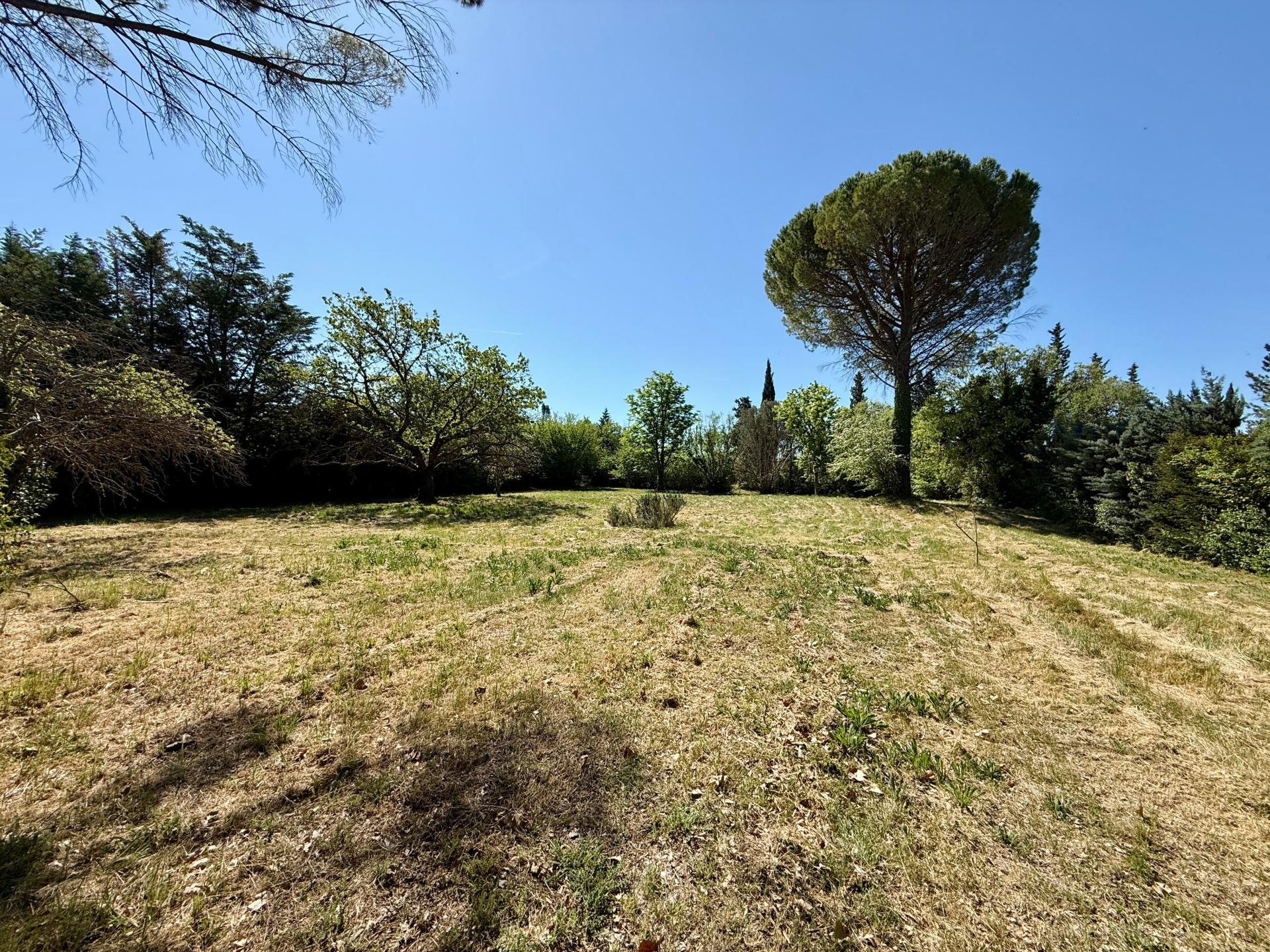 Photo 6 de l'annonce.