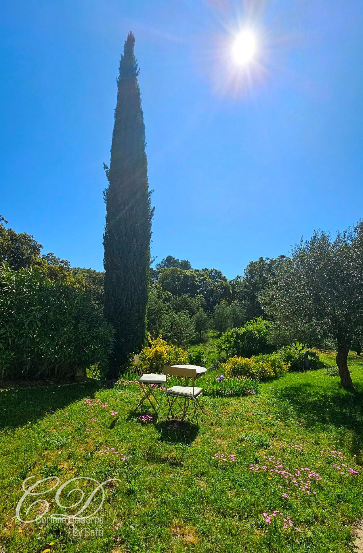 Photo 11 de l'annonce.