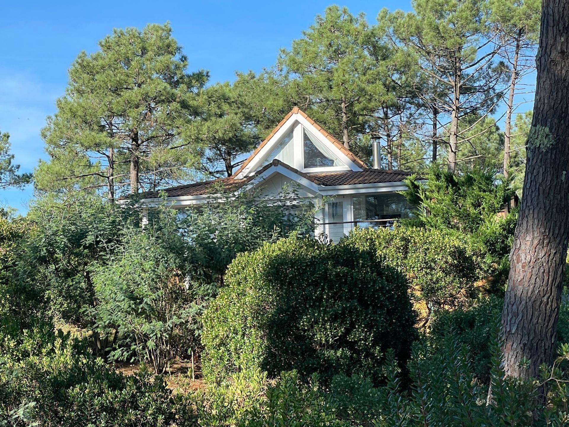 Photo 7 de l'annonce.