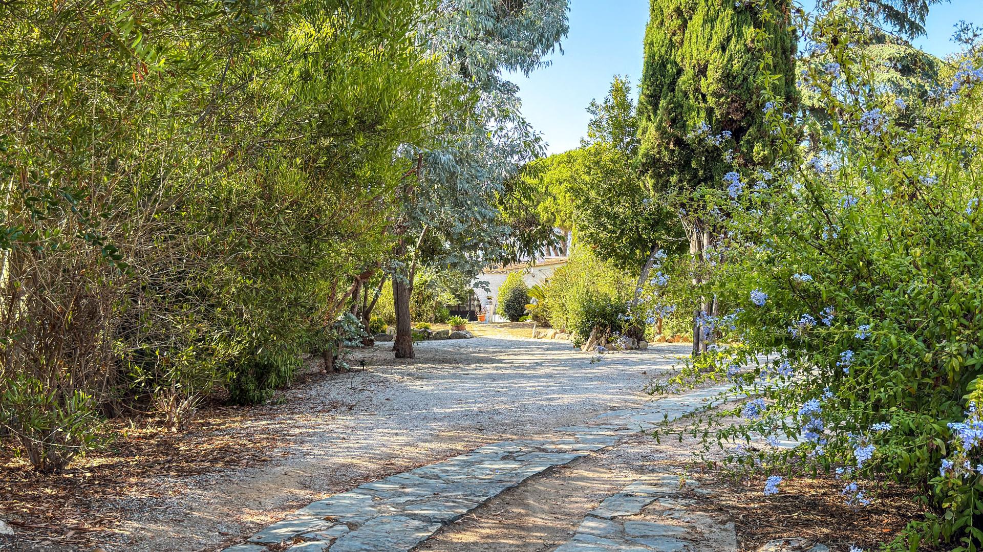 Photo 2 de l'annonce.