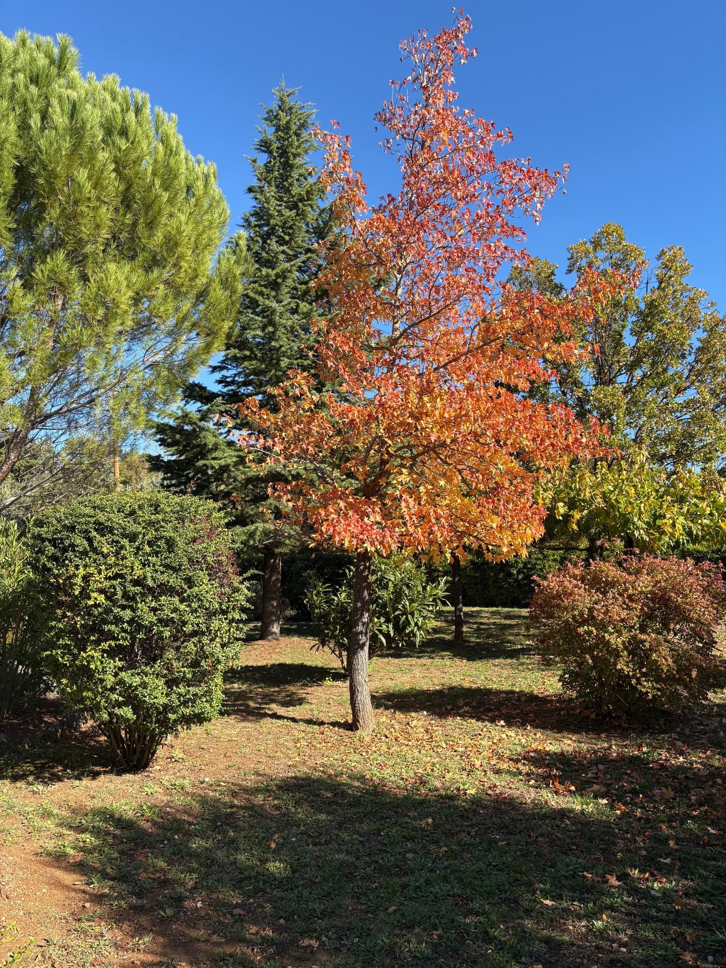 Photo 17 de l'annonce.