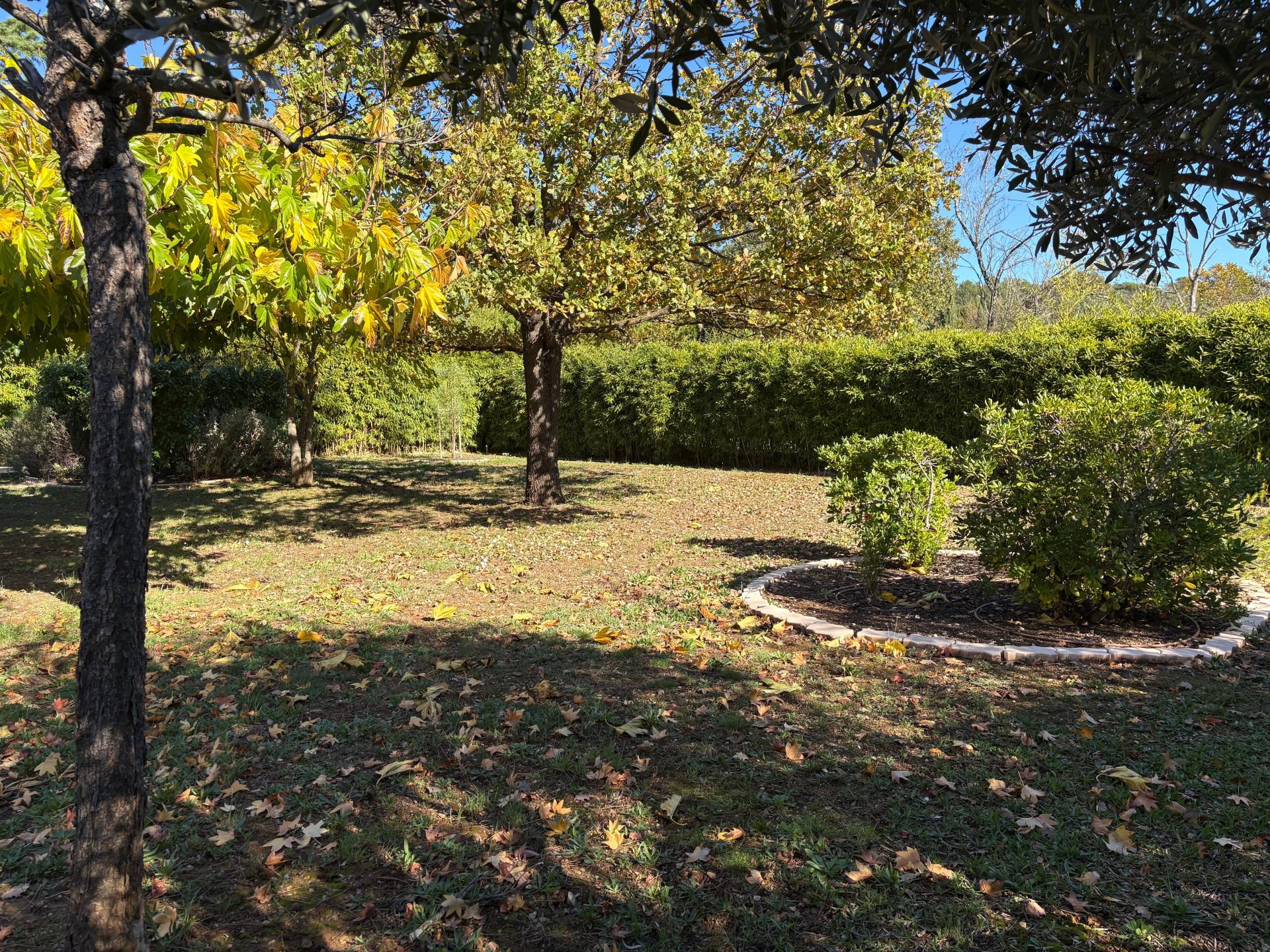 Photo 18 de l'annonce.