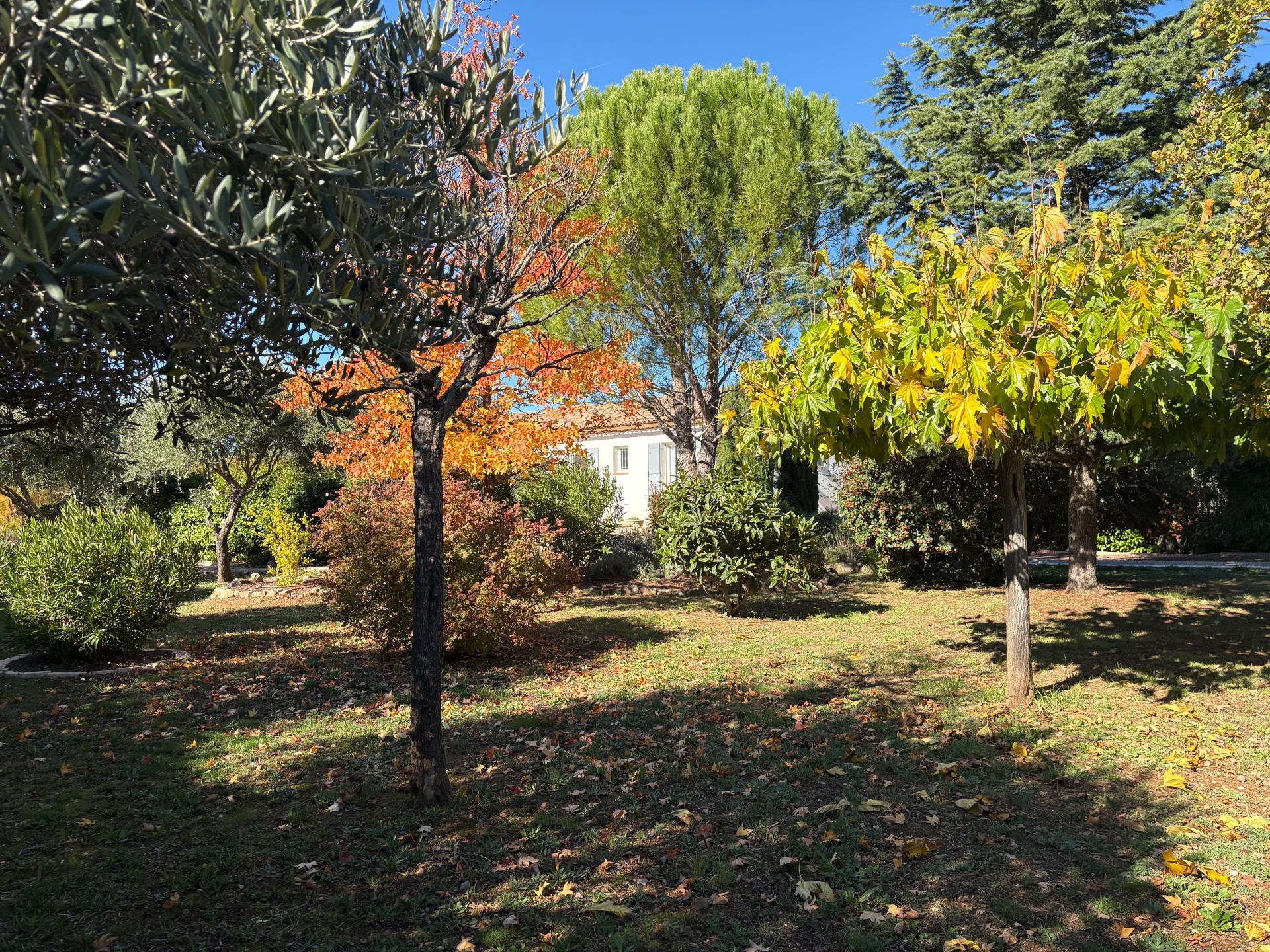 Photo 19 de l'annonce.