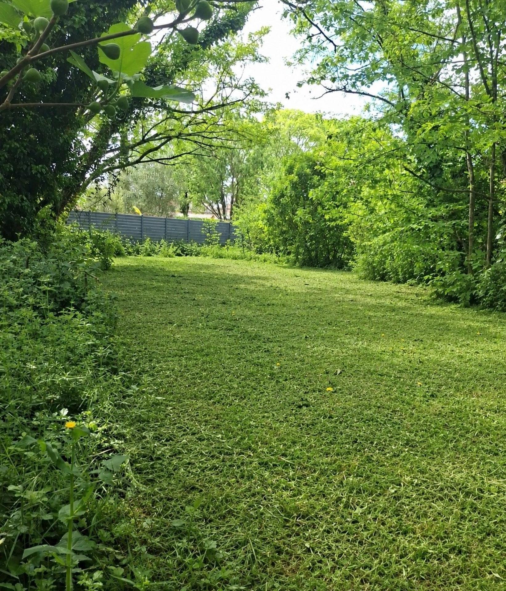 Photo-terrain