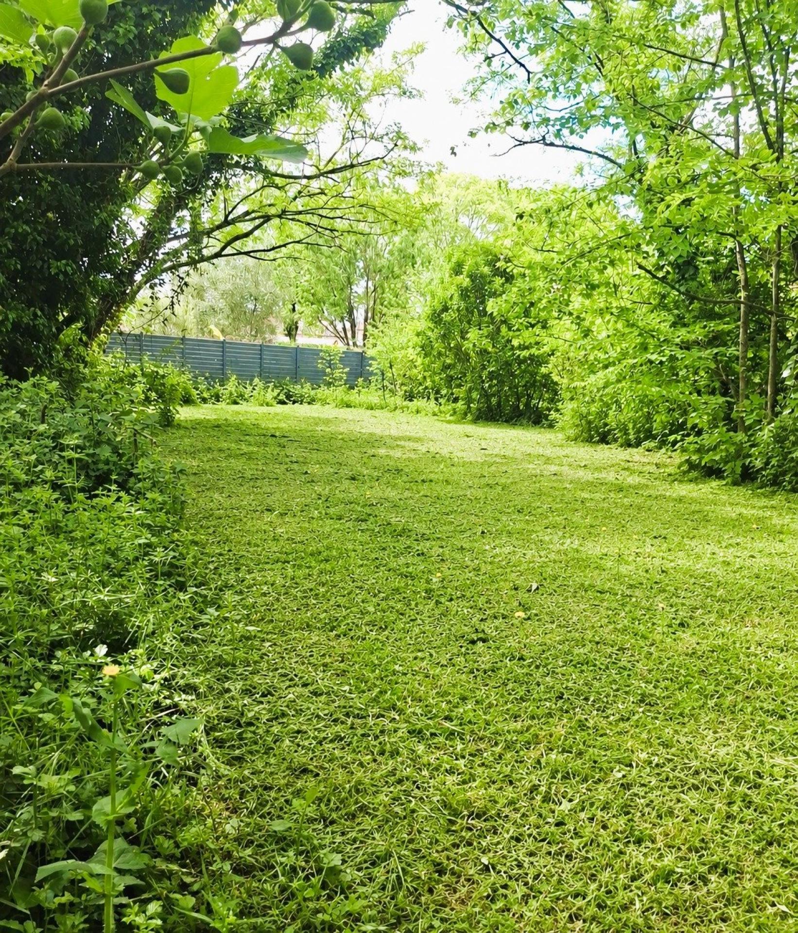 Photo-terrain