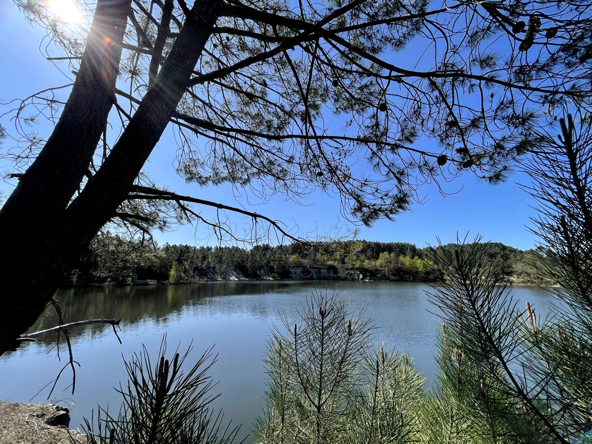 Photo 3 de l'annonce.