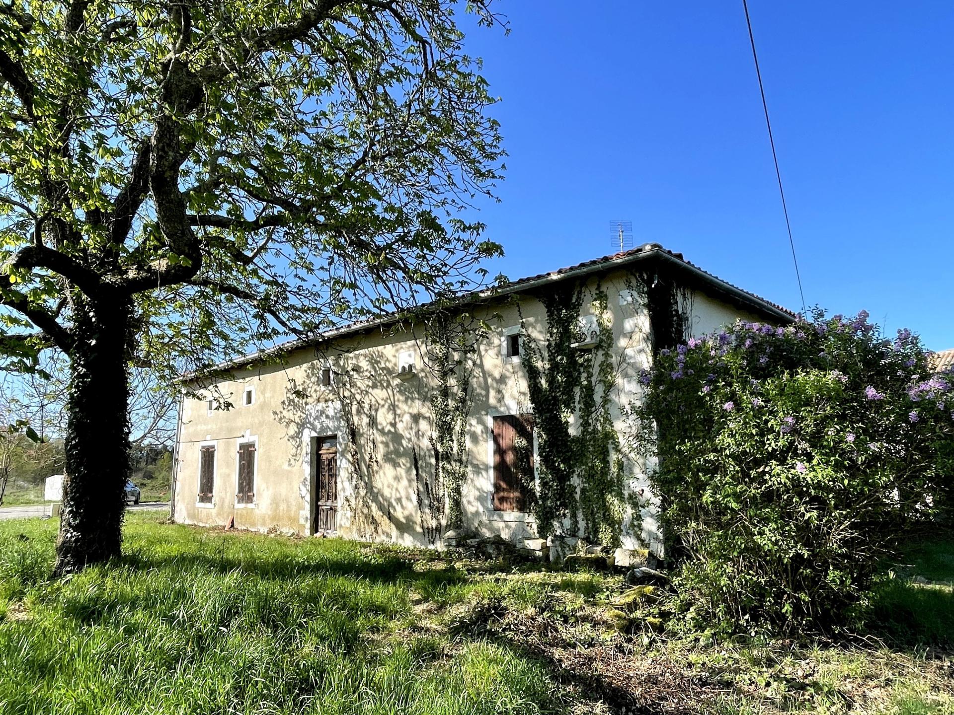 Photo 10 de l'annonce.