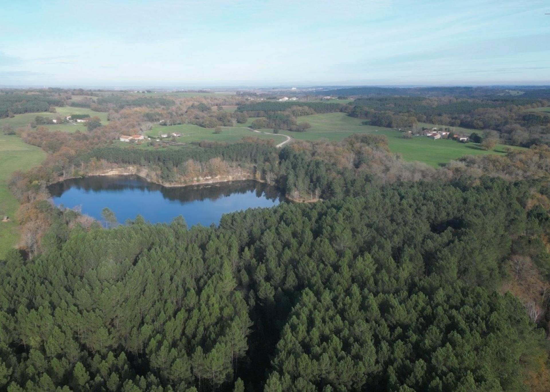 Photo 13 de l'annonce.