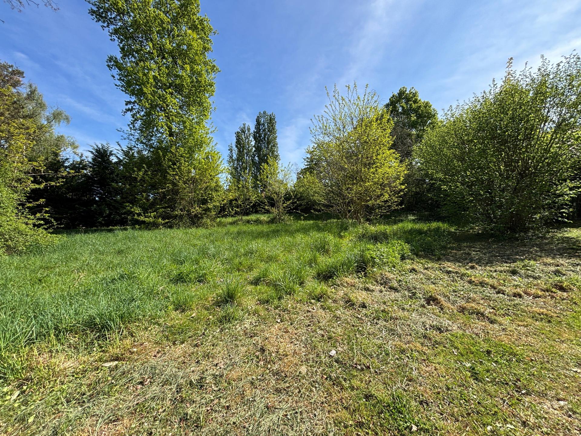 Photo 9 de l'annonce.