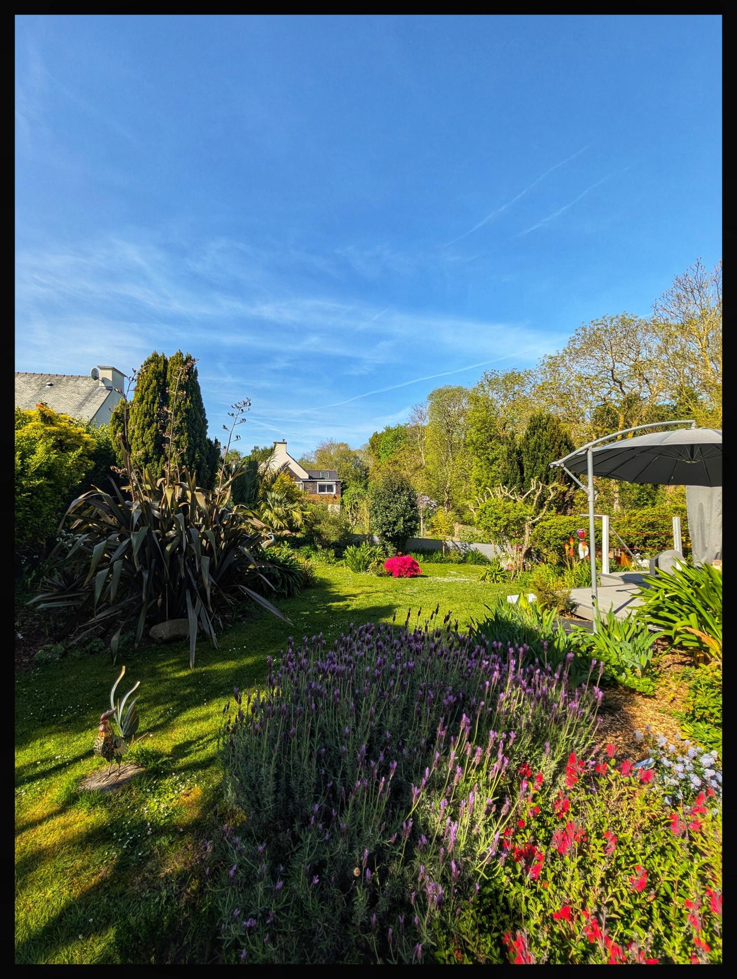 Photo 15 de l'annonce.