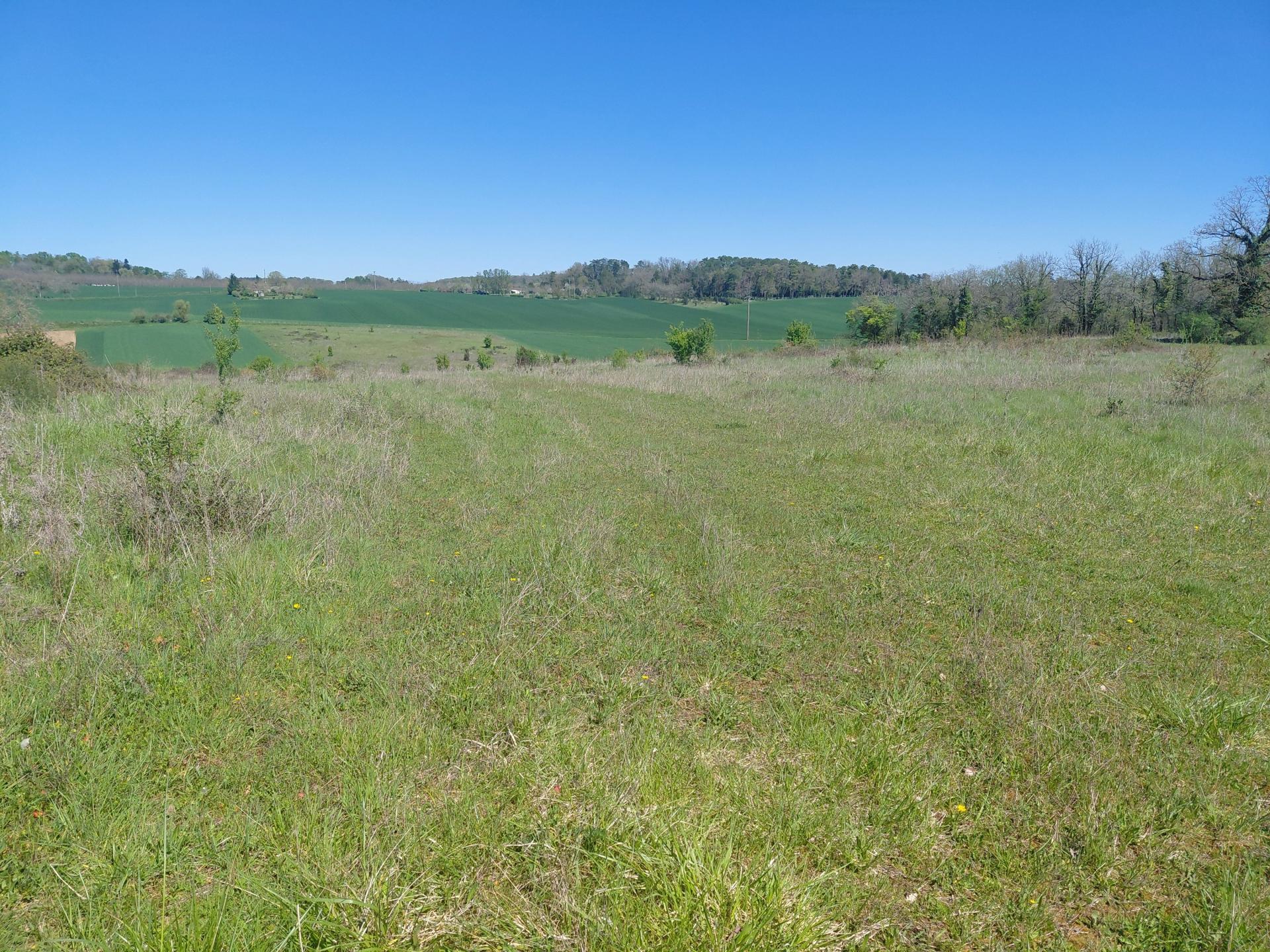 Photo-terrain