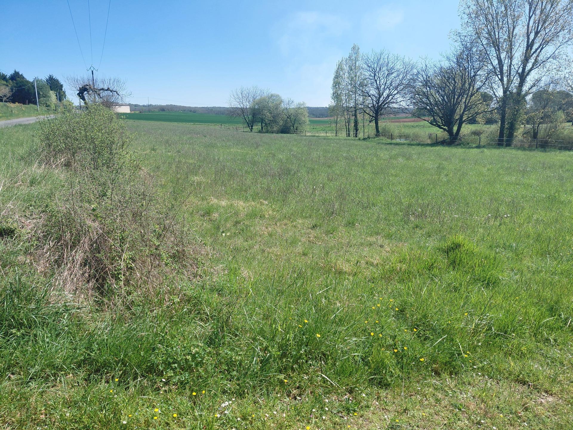 Photo-terrain