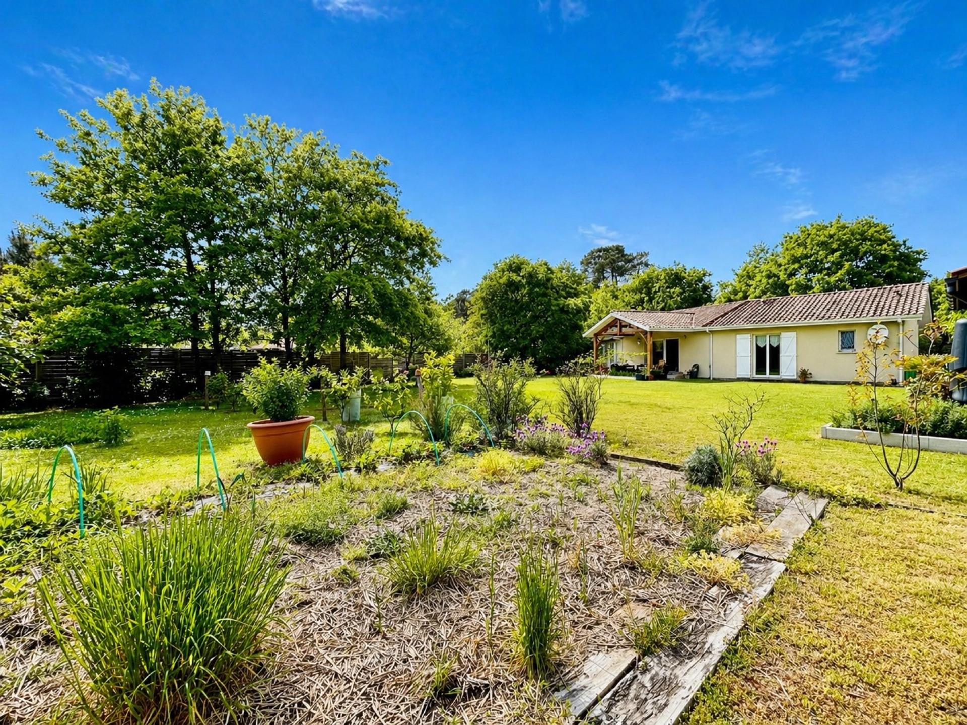 Photo 2 de l'annonce.