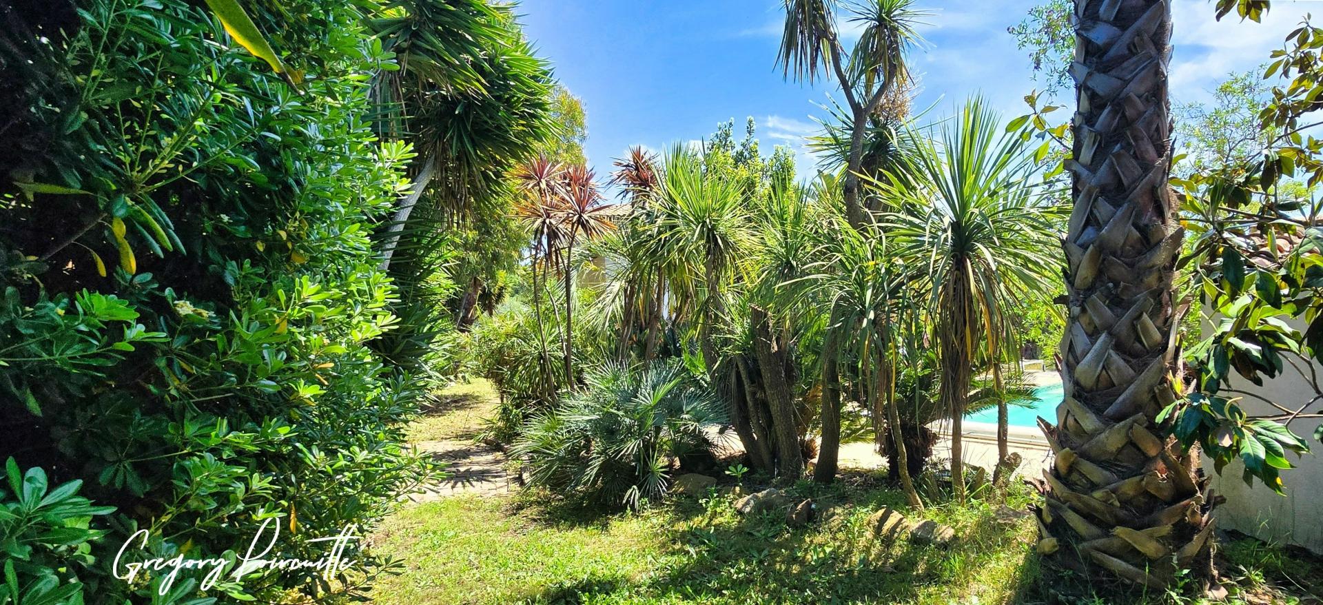 Photo 7 de l'annonce.