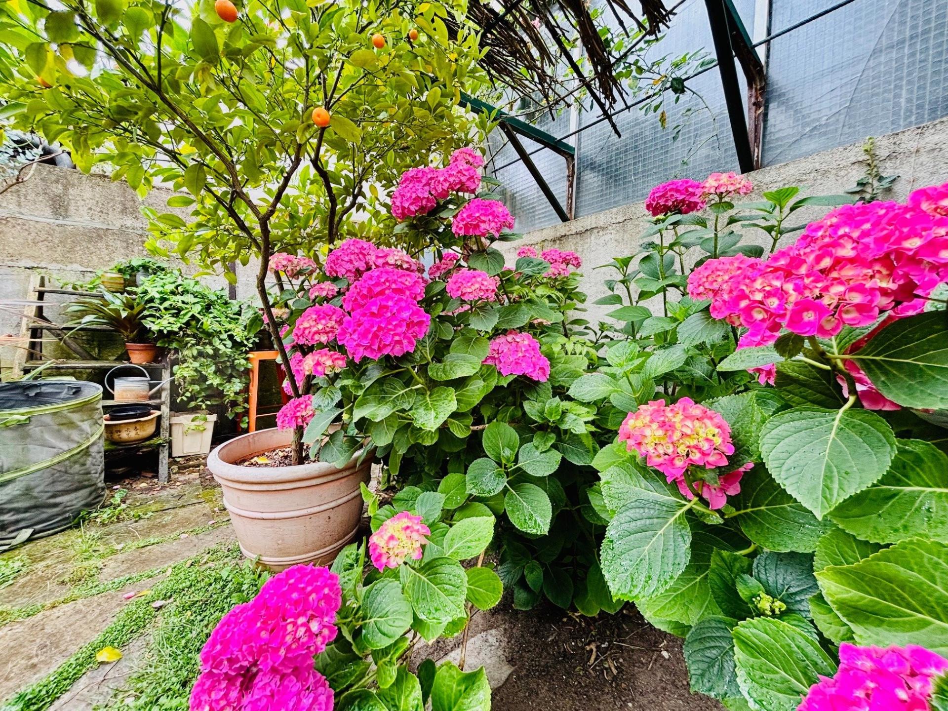 Photo 7 of the listing.