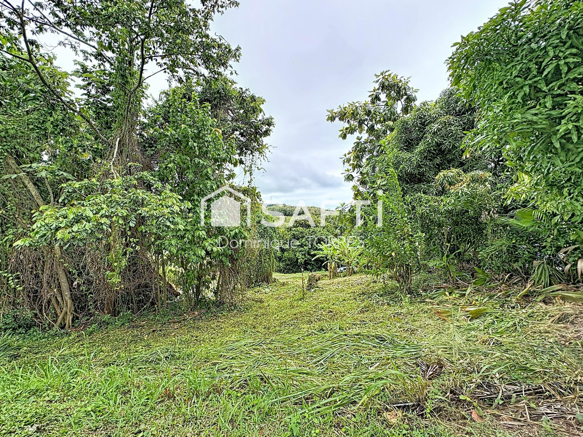 Photo-terrain
