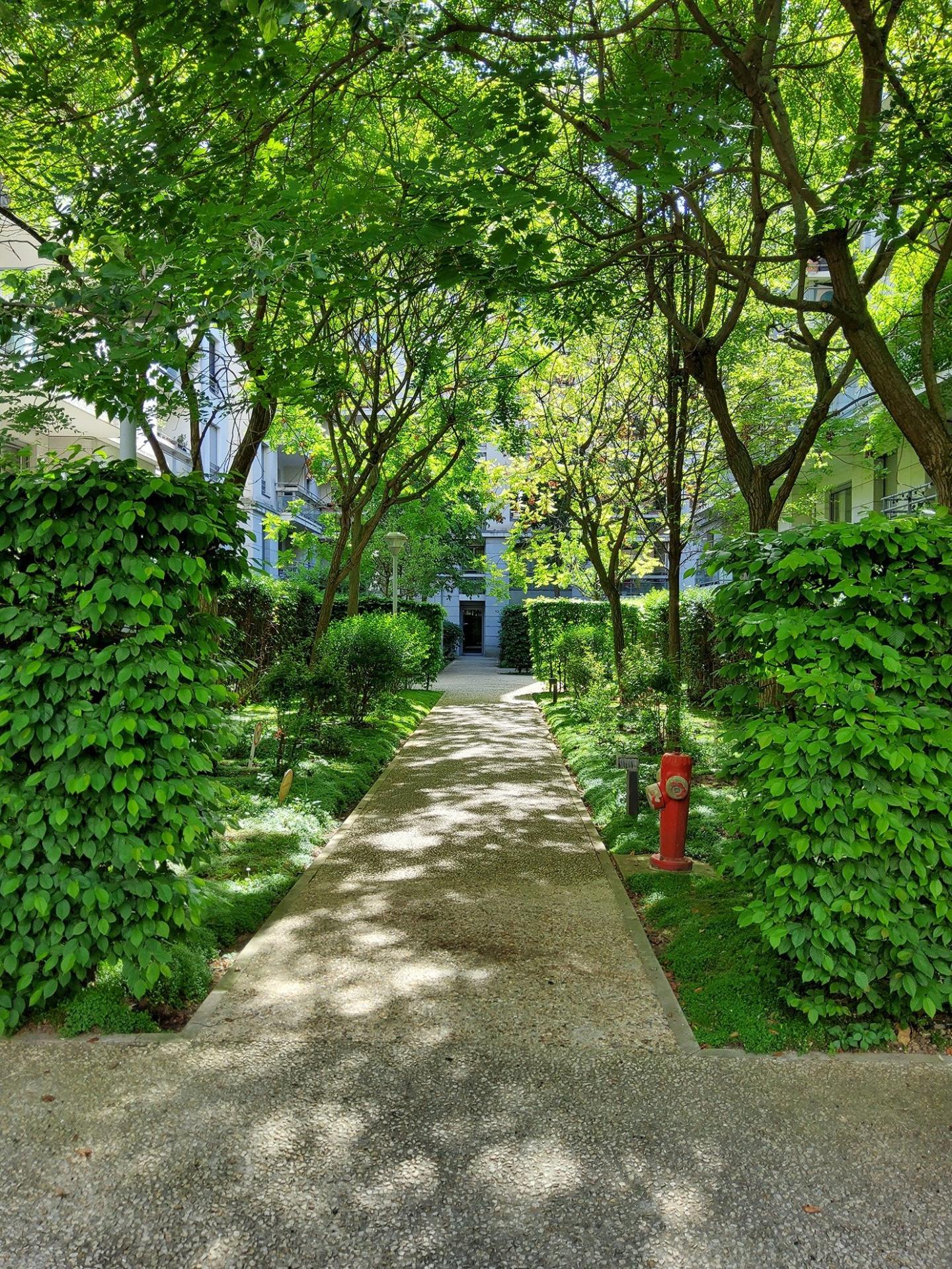 Photo 3 de l'annonce.