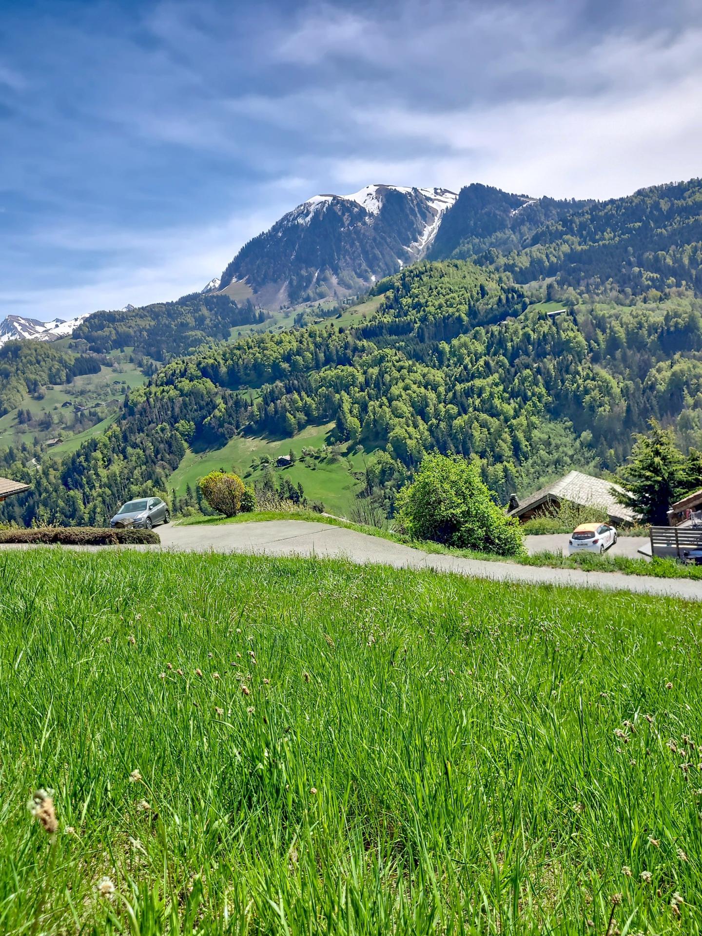 Photo 3 de l'annonce.