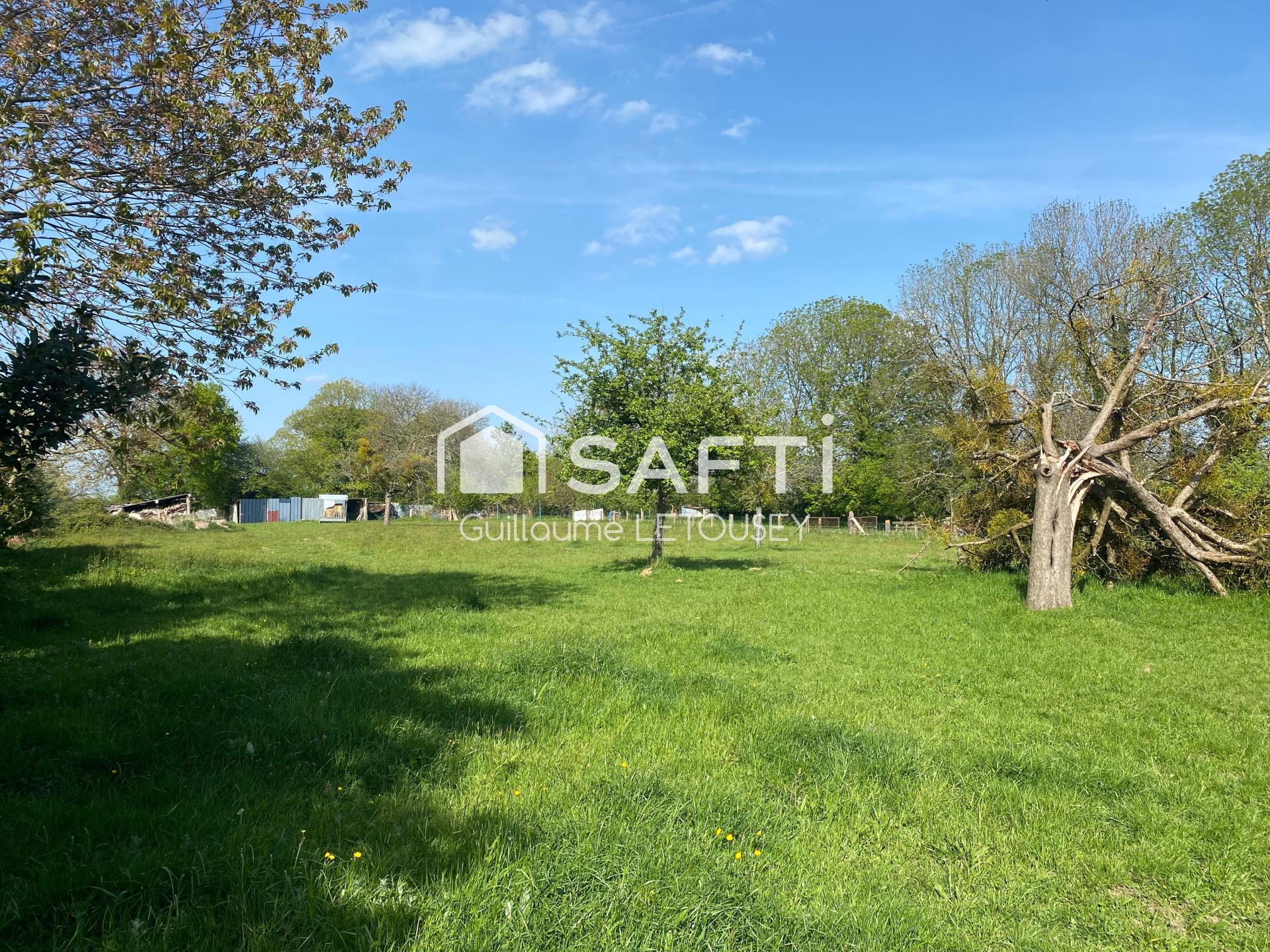 Photo-terrain