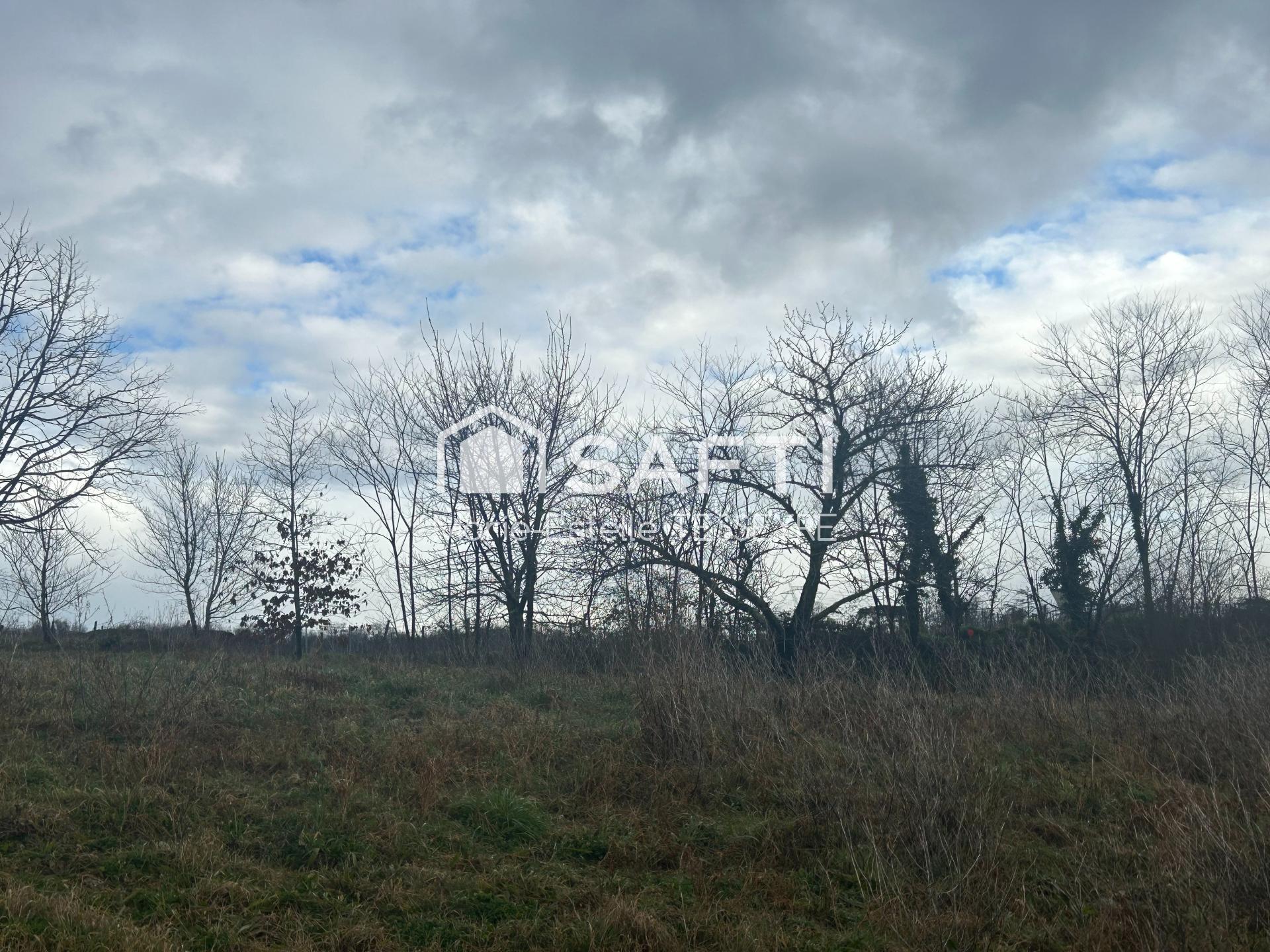 Photo-terrain