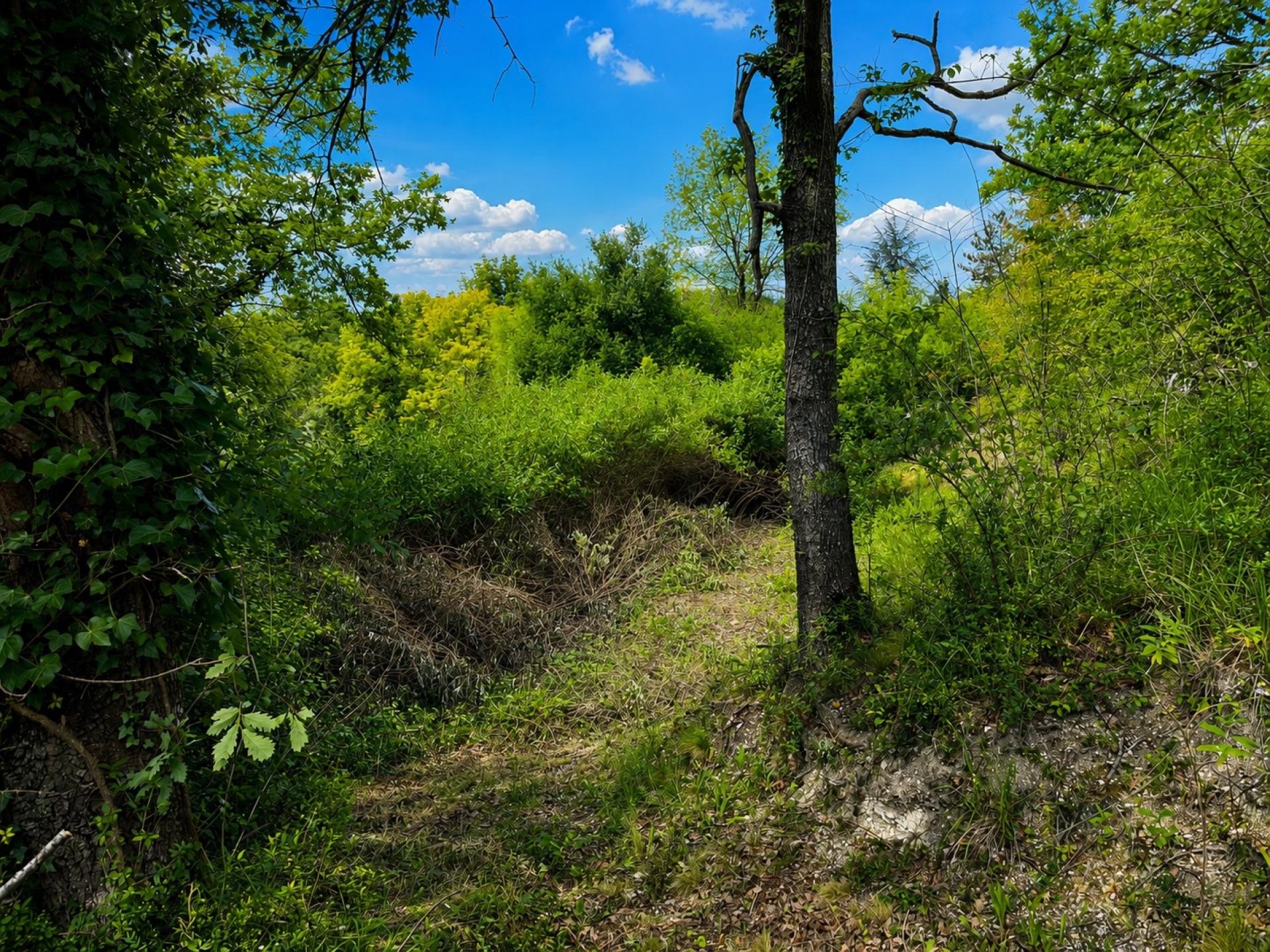 Photo-terrain