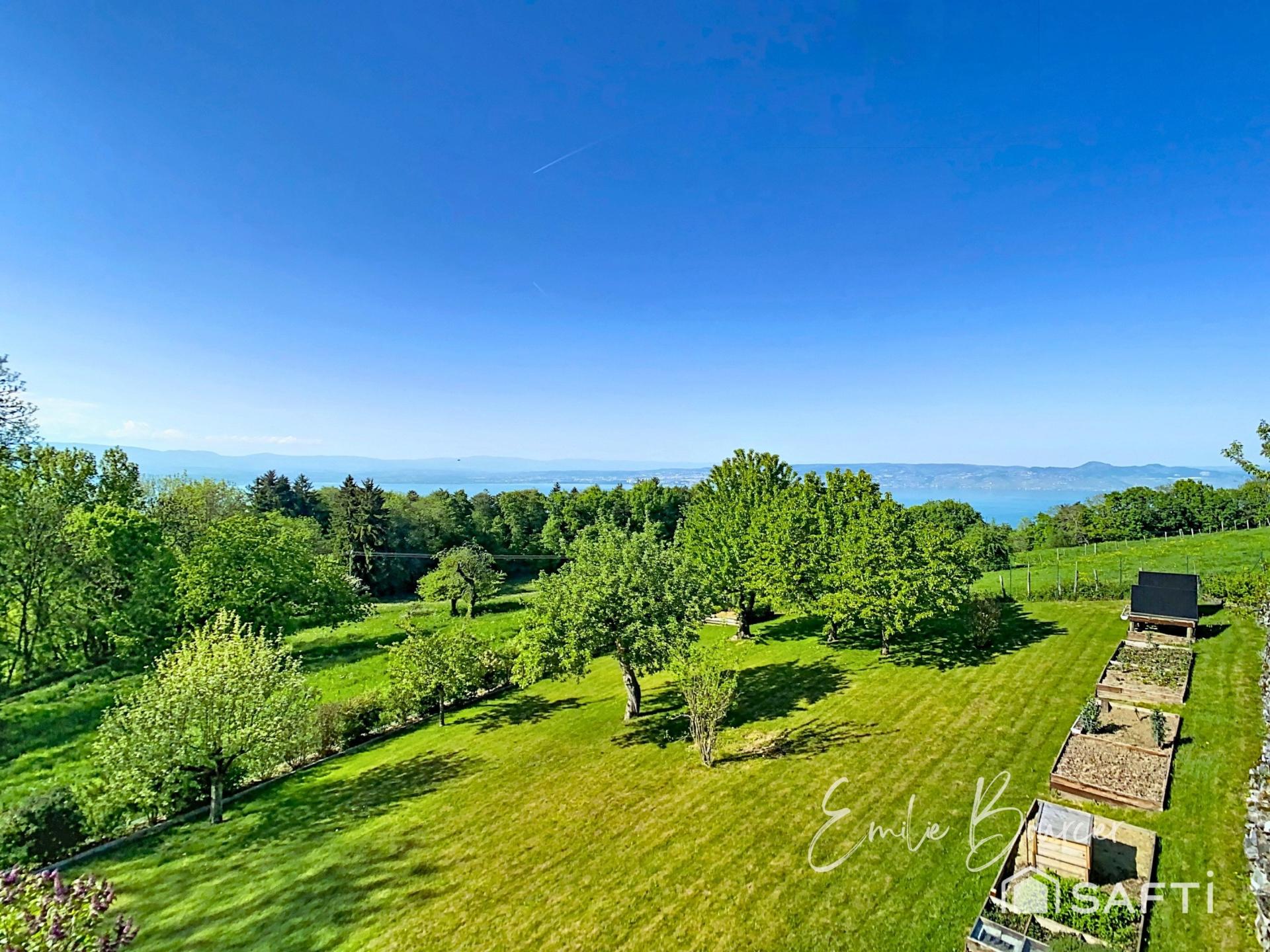 Photo 3 of the listing.