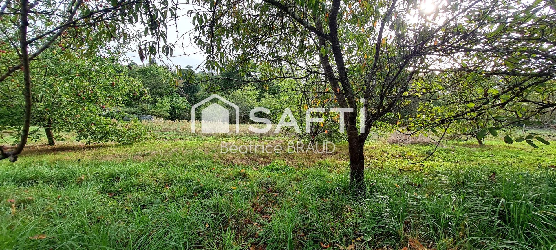Photo-terrain