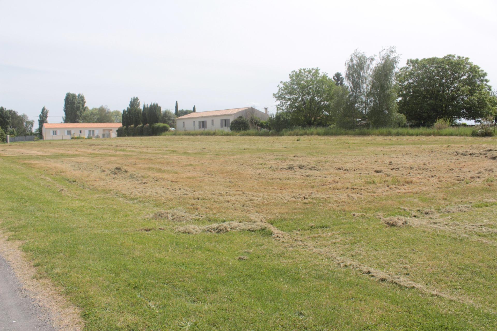 Photo-terrain