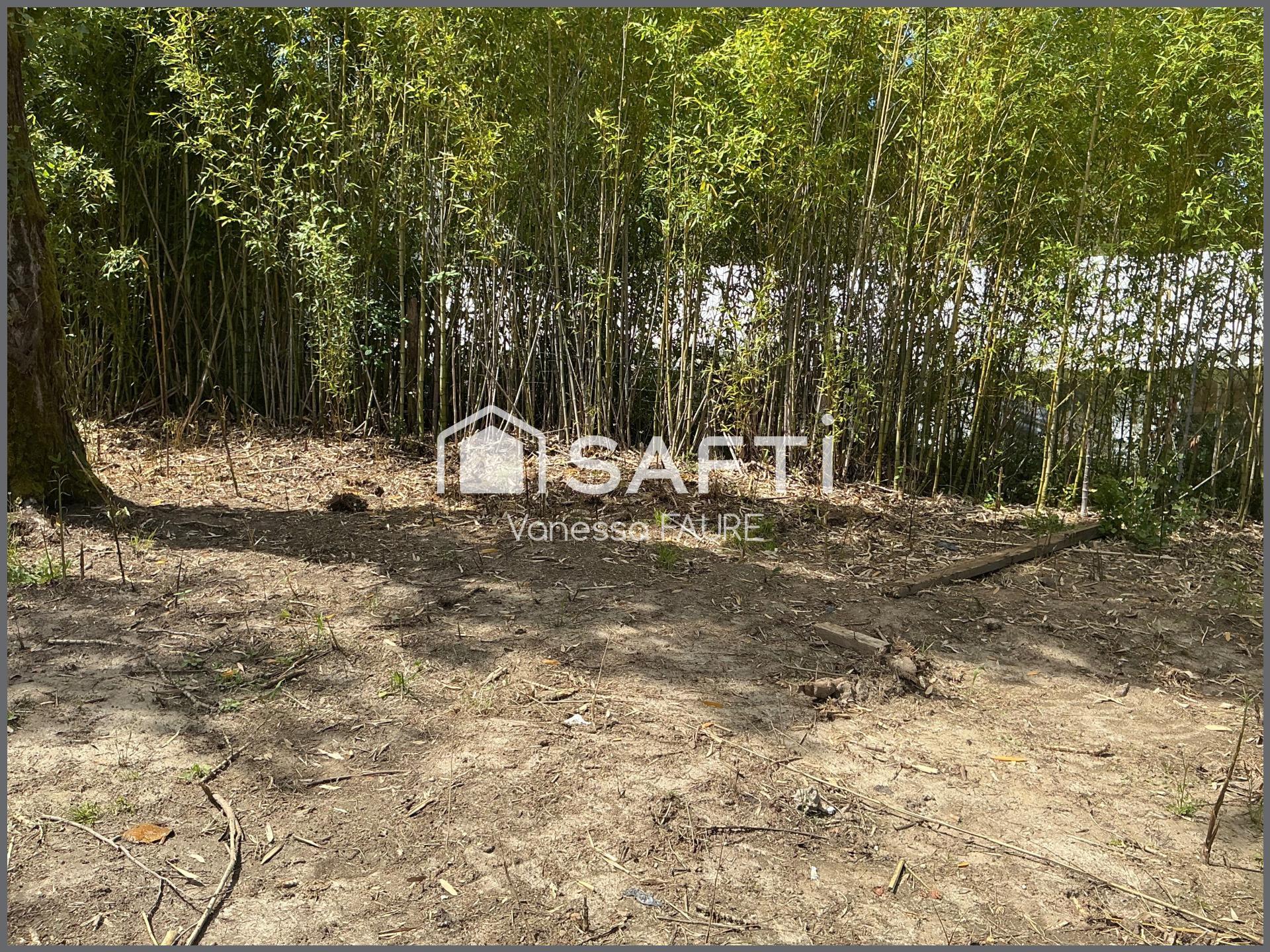 Photo-terrain