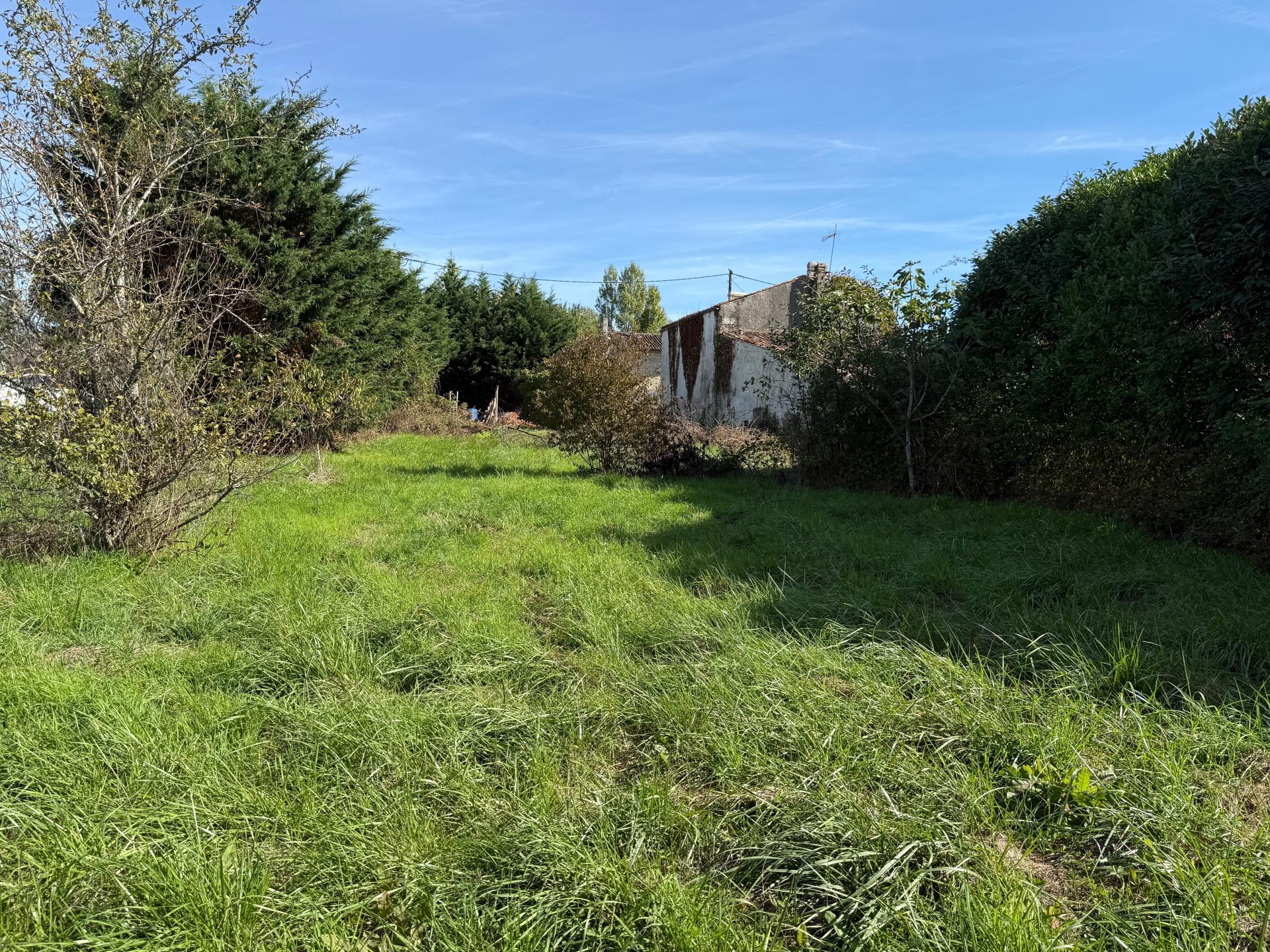 Photo-terrain
