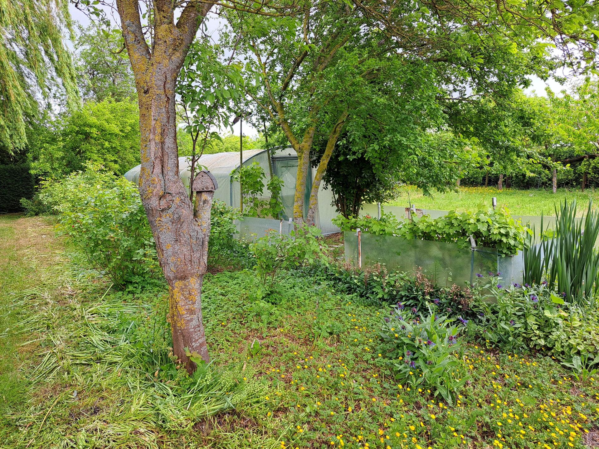 Photo-terrain