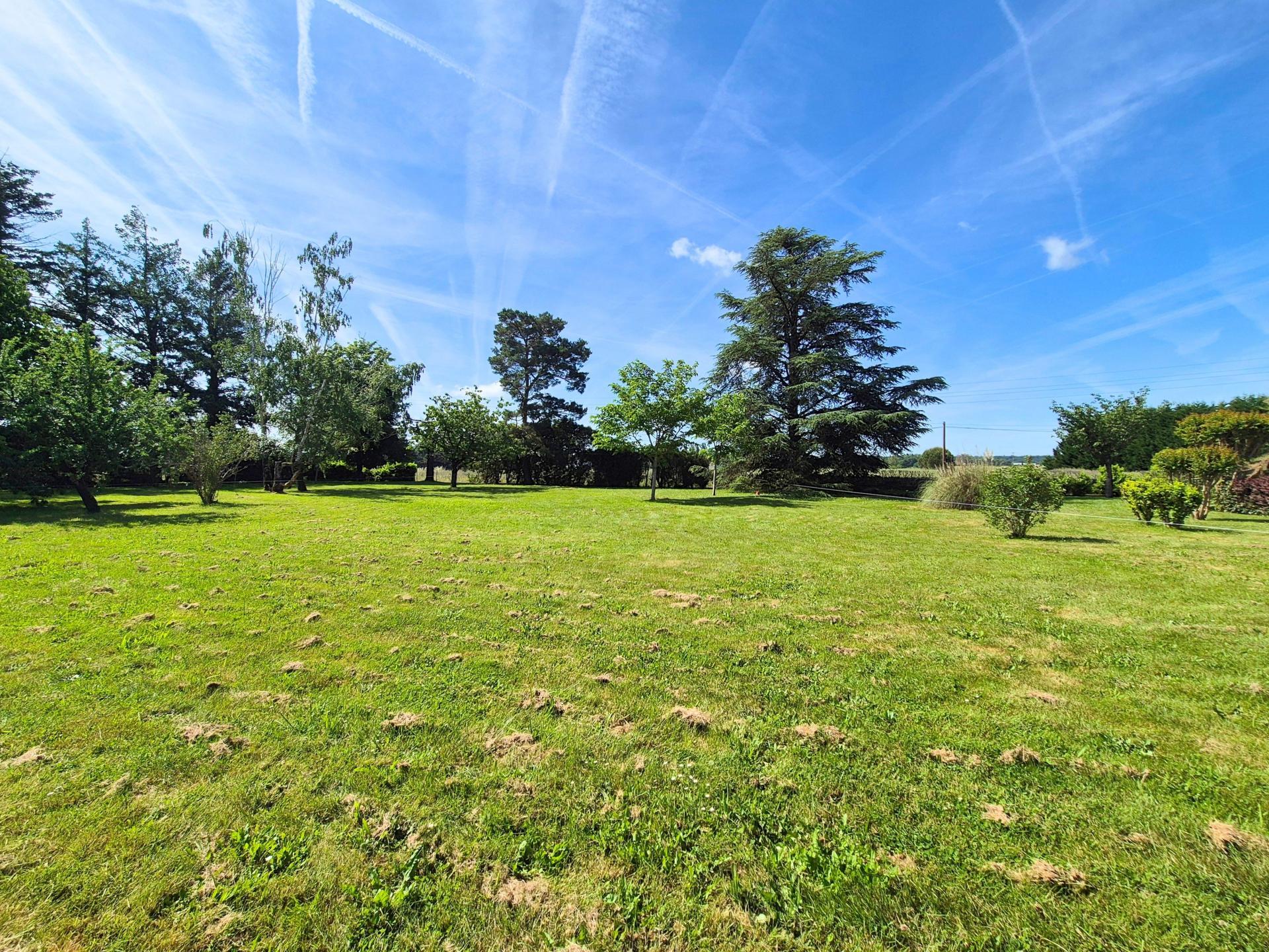 Photo-terrain