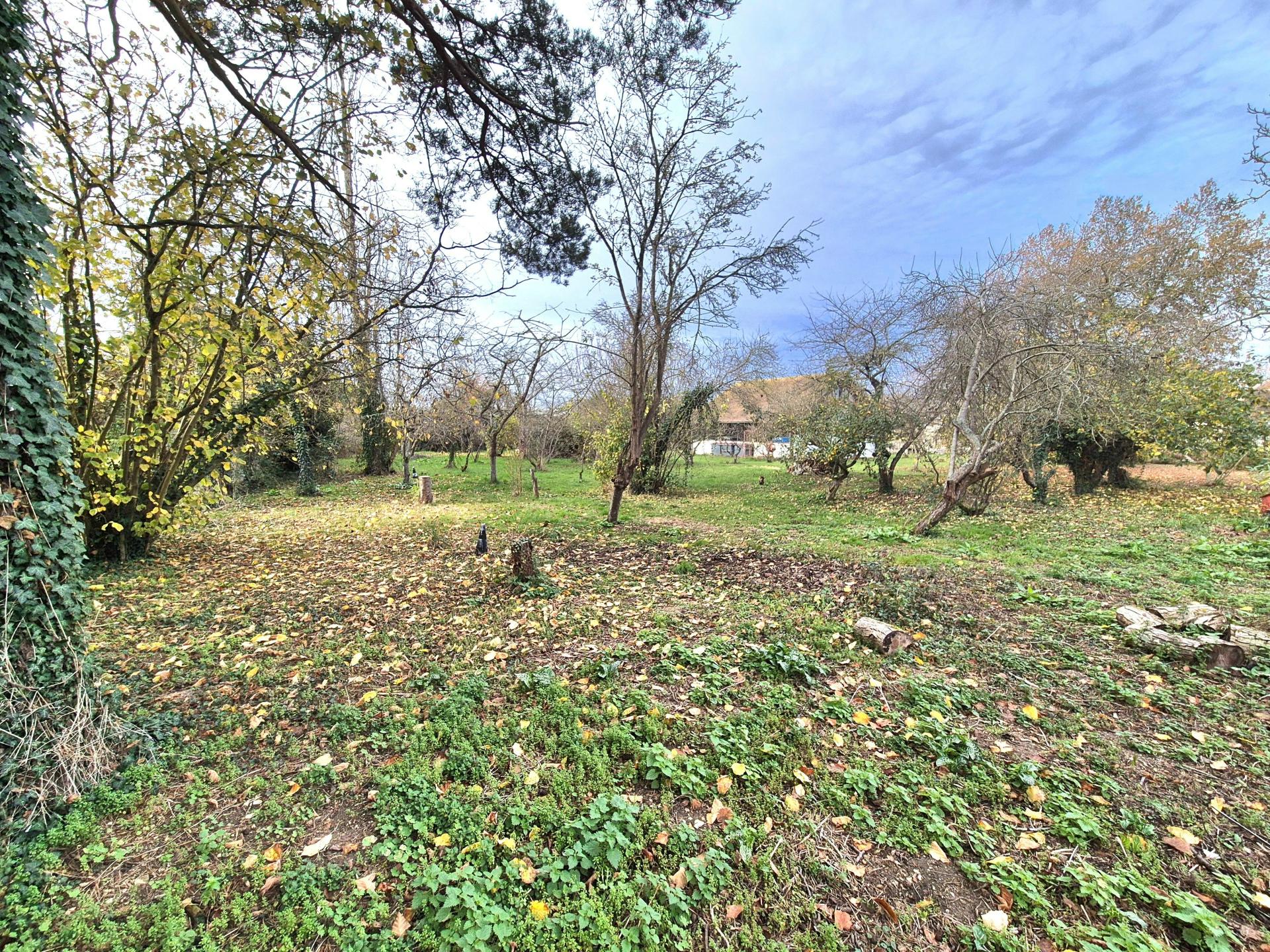 Photo-terrain