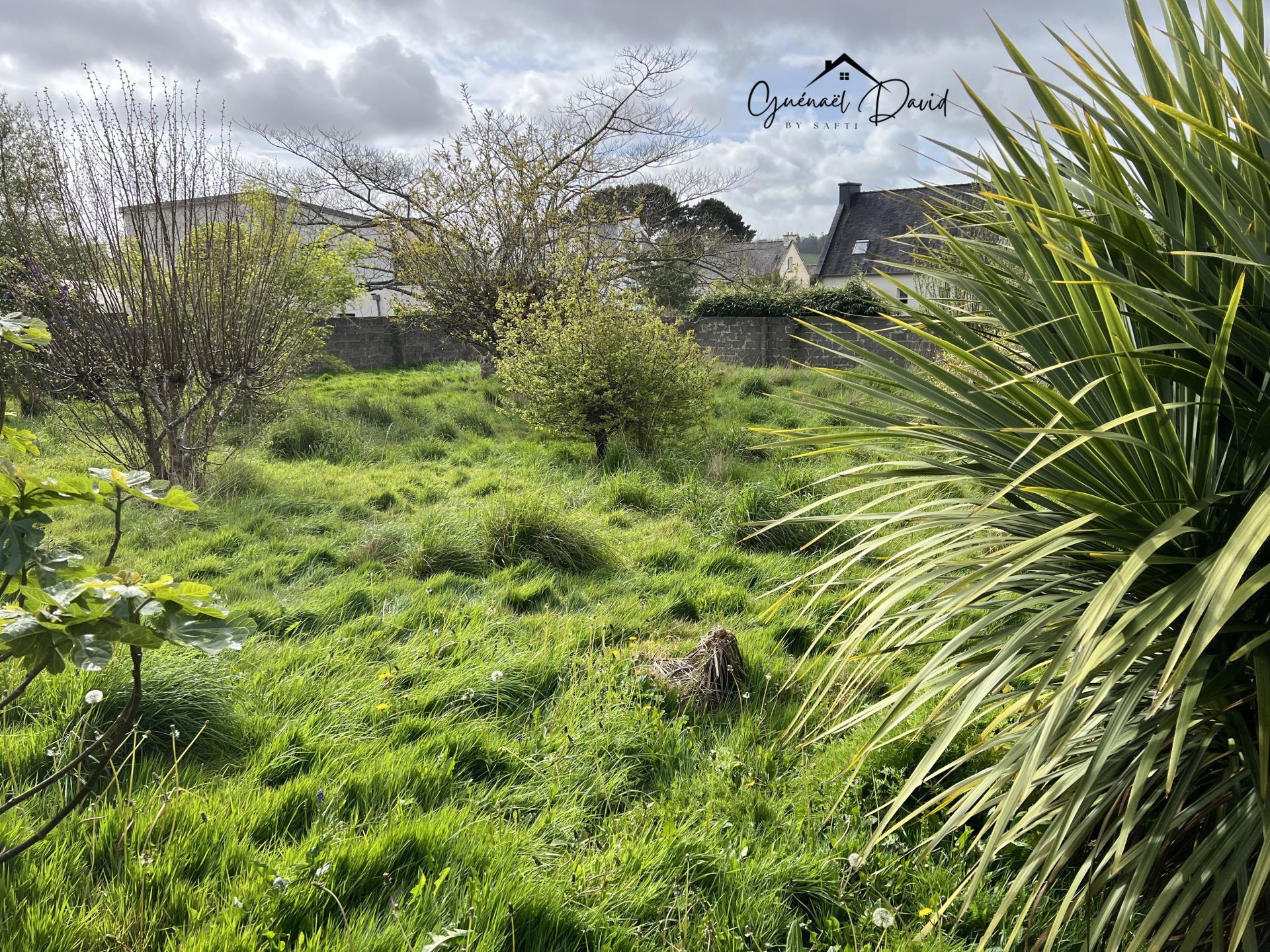 Photo-terrain