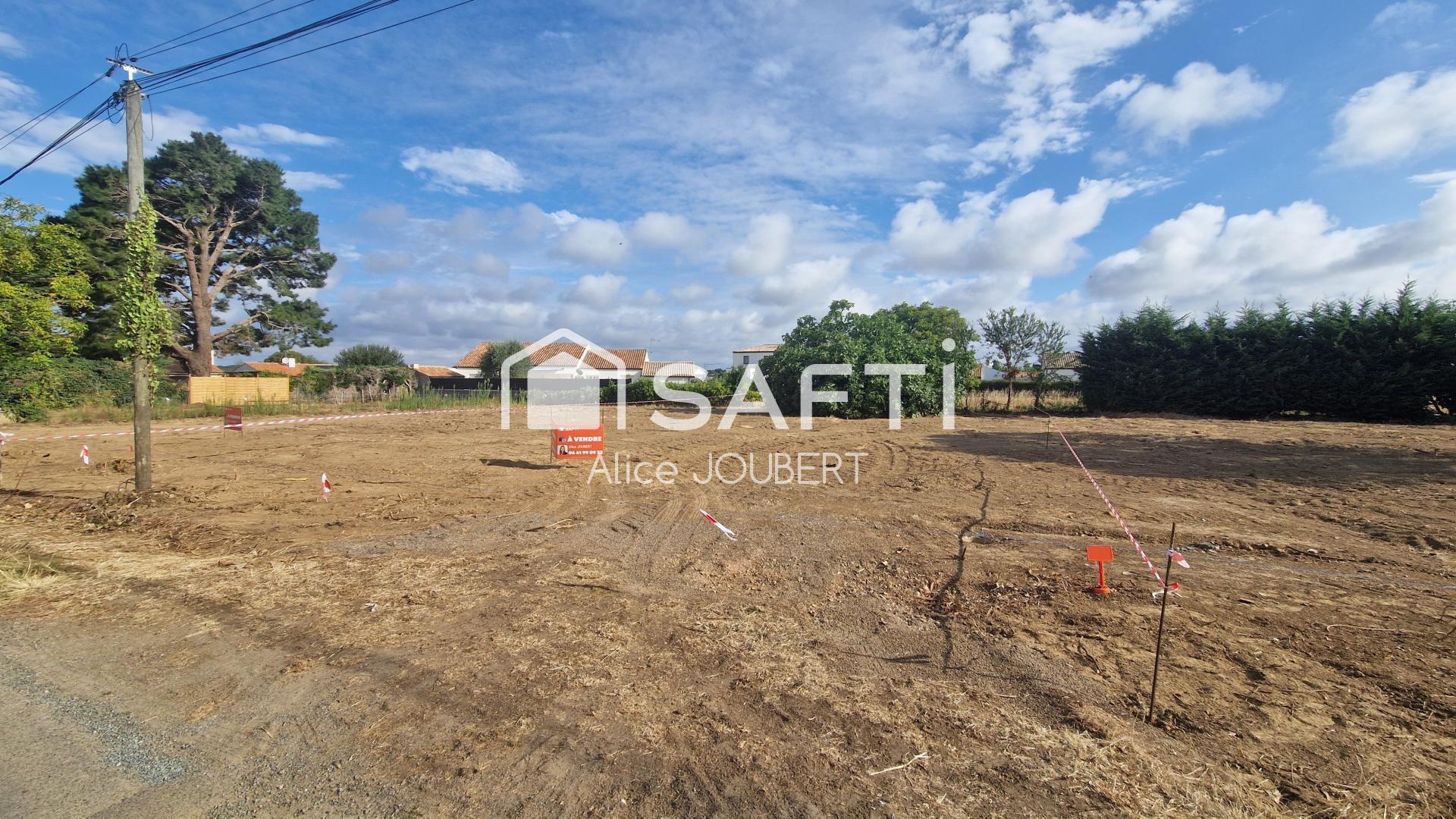 Photo-terrain