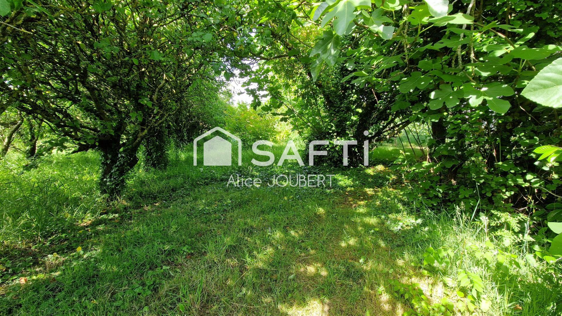 Photo-terrain