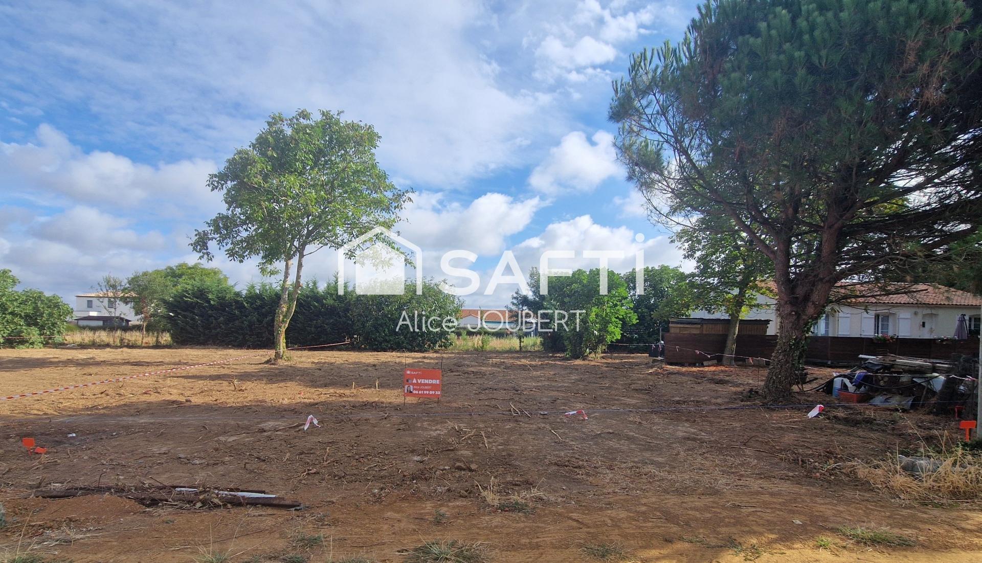Photo-terrain