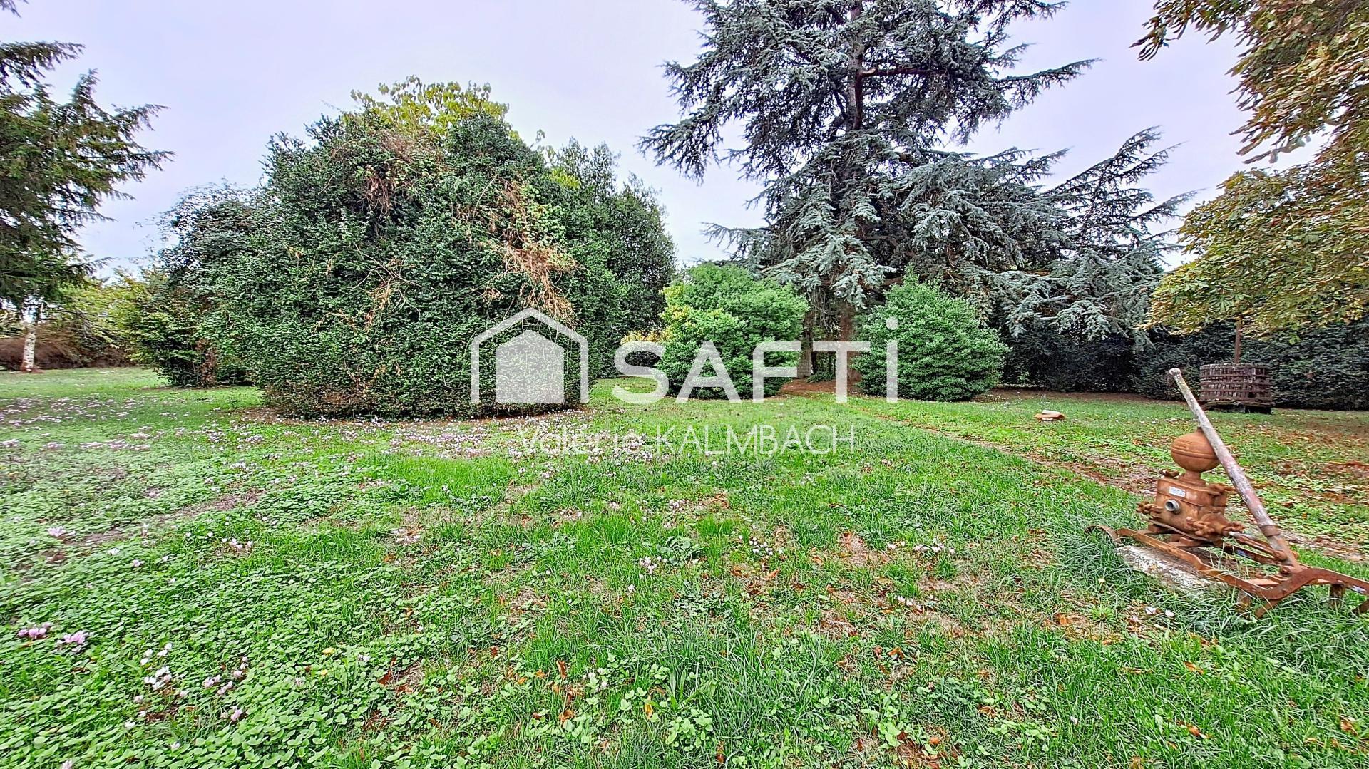Photo 2 de l'annonce