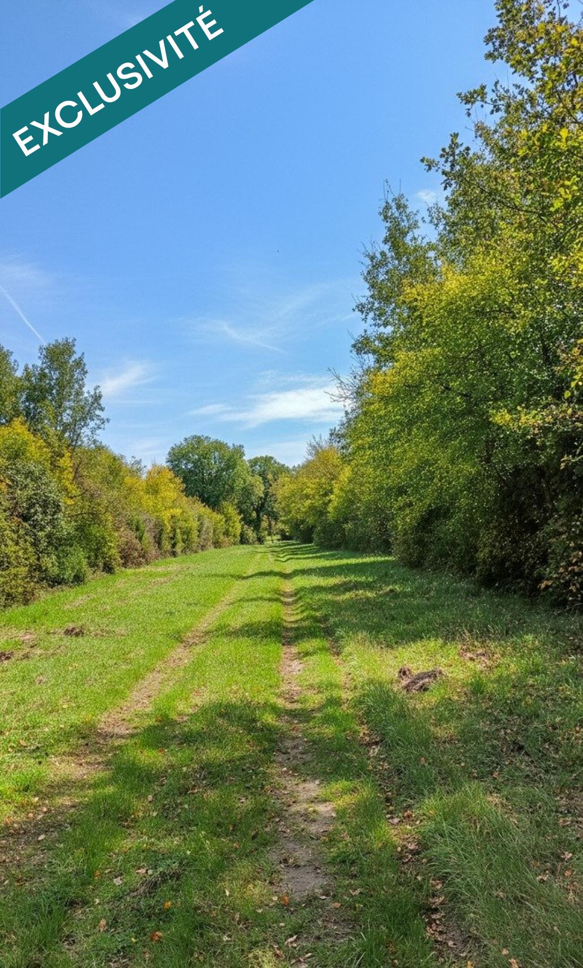 Forêt de chasse de 18 hectares à BENON