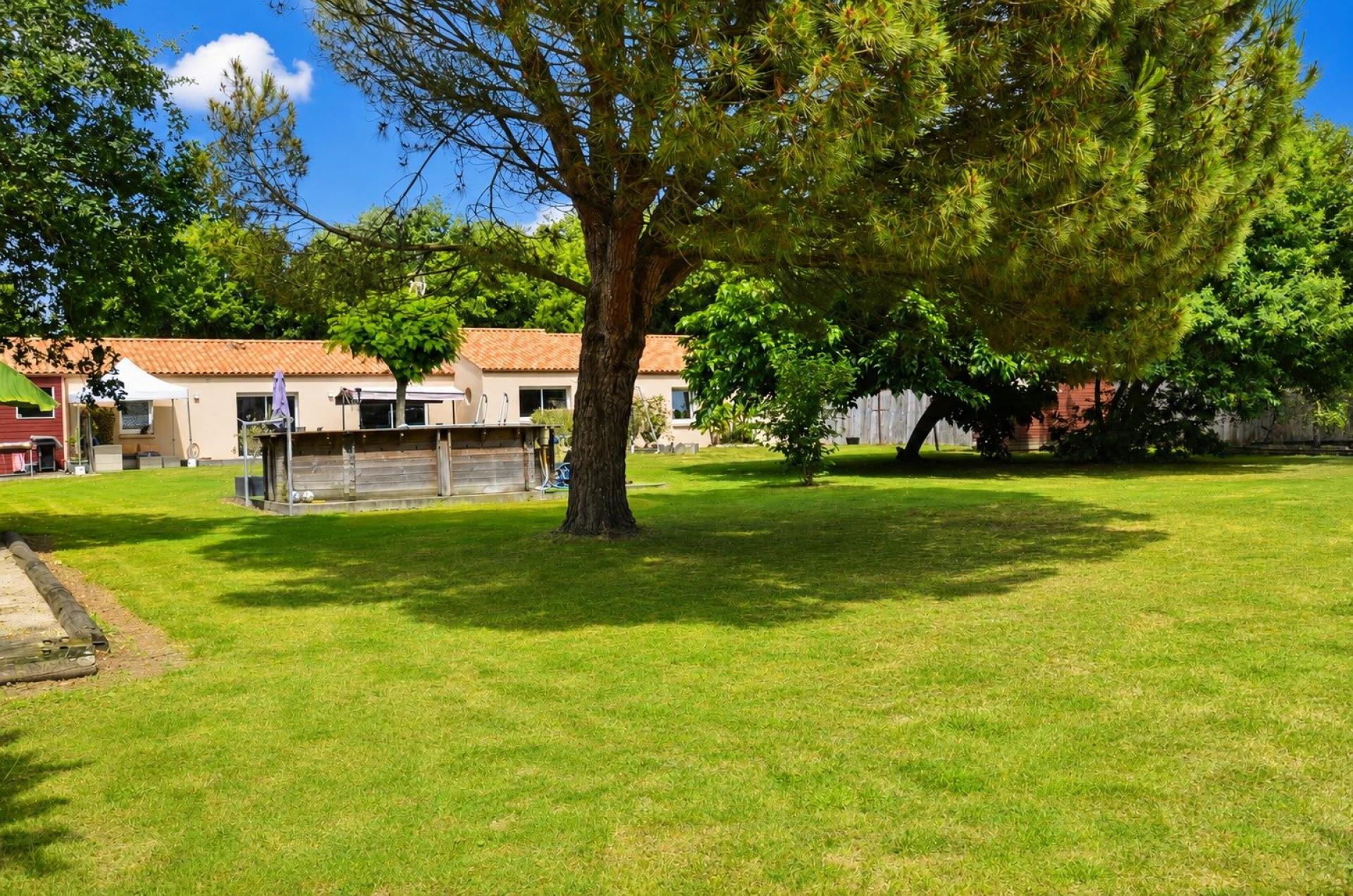 Photo 3 de l'annonce