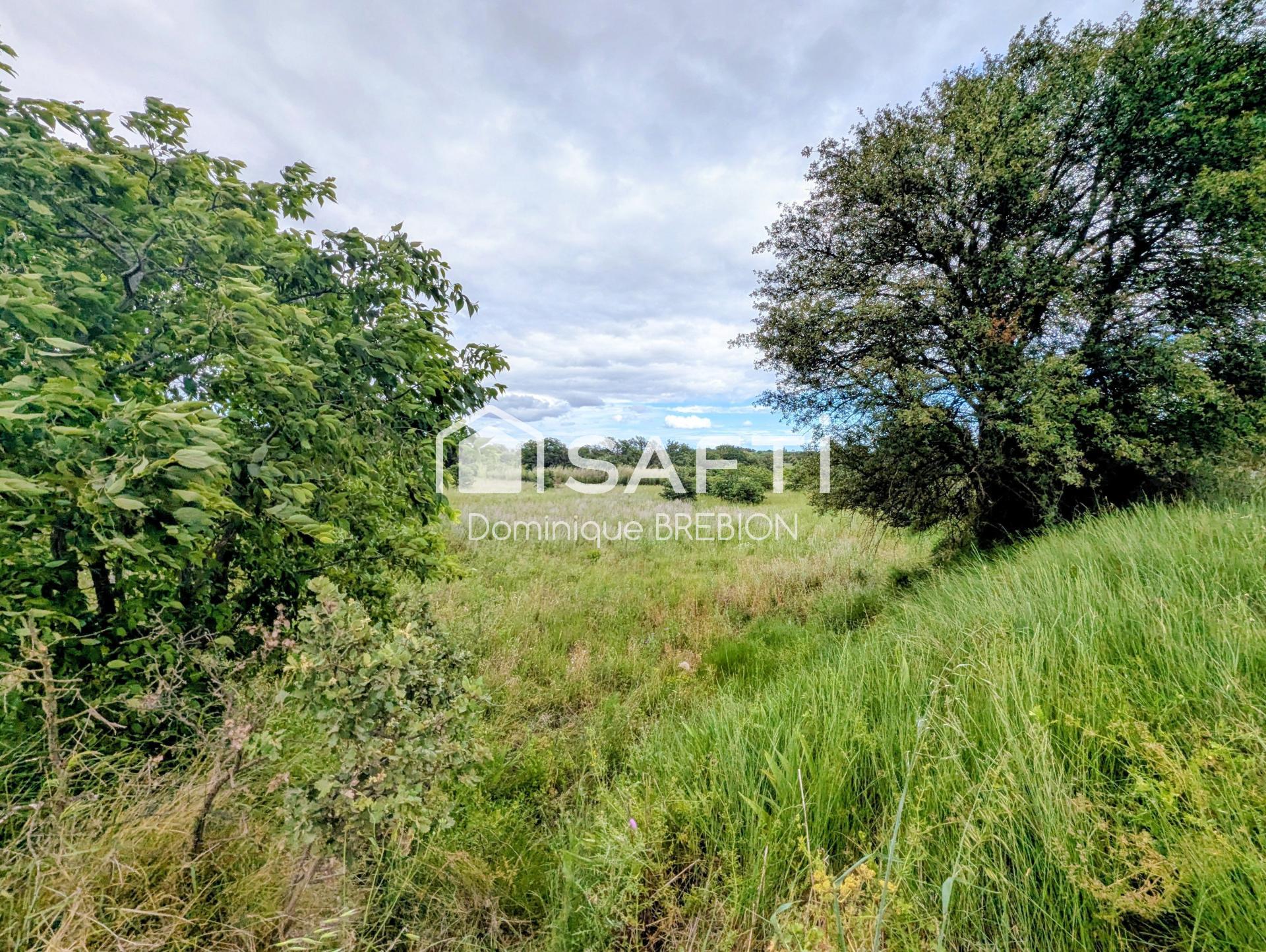 Photo-terrain