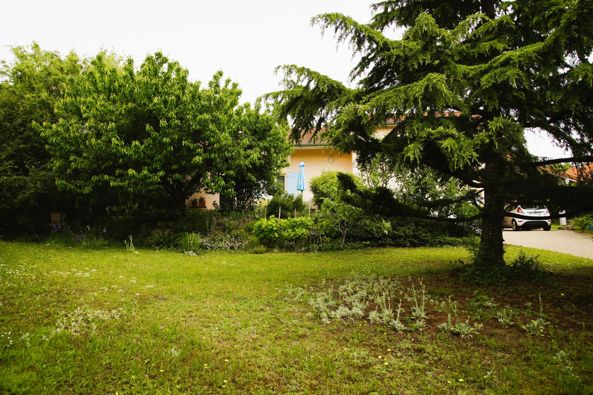 Photo 4 de l'annonce.
