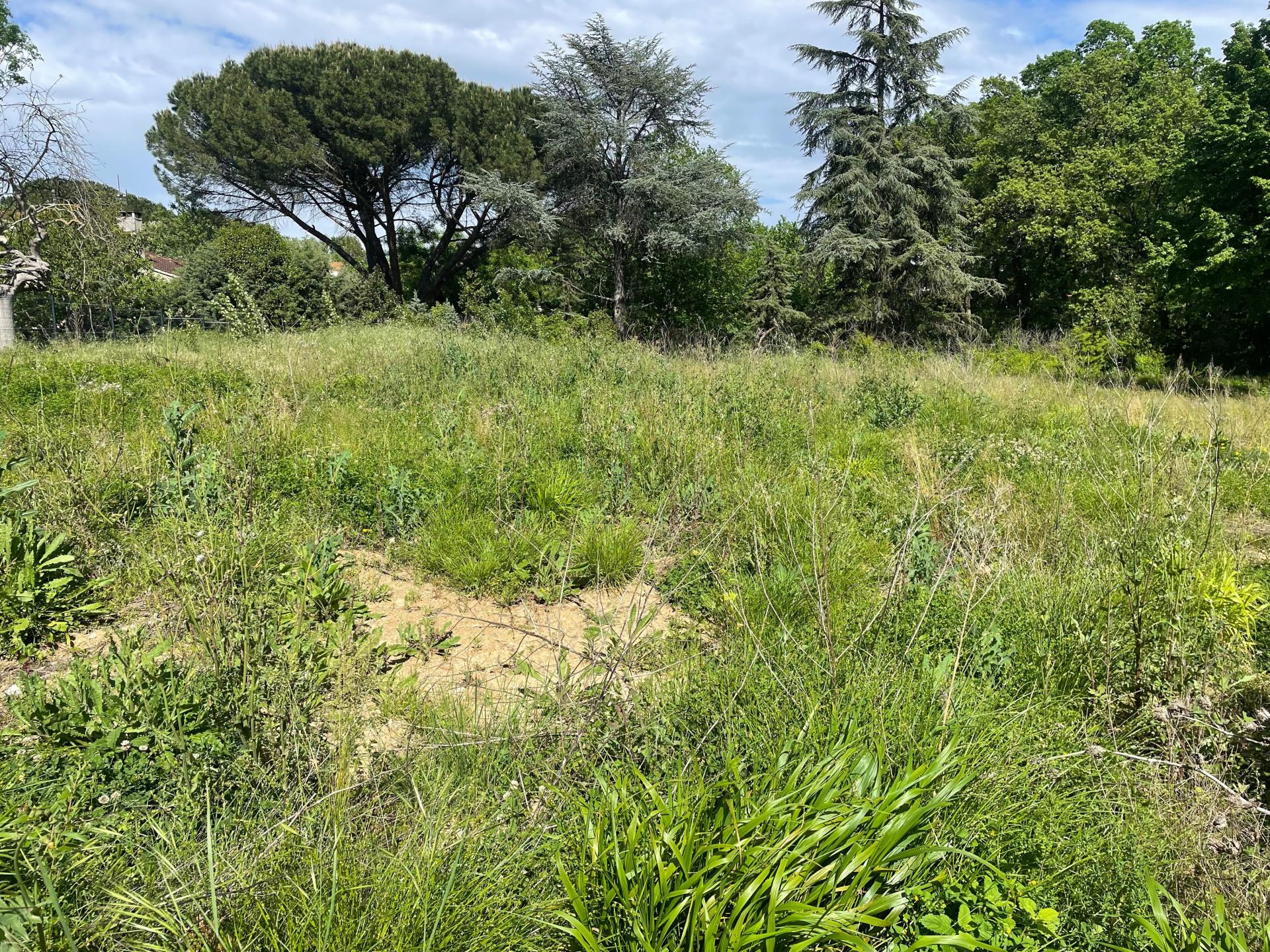 Photo-terrain