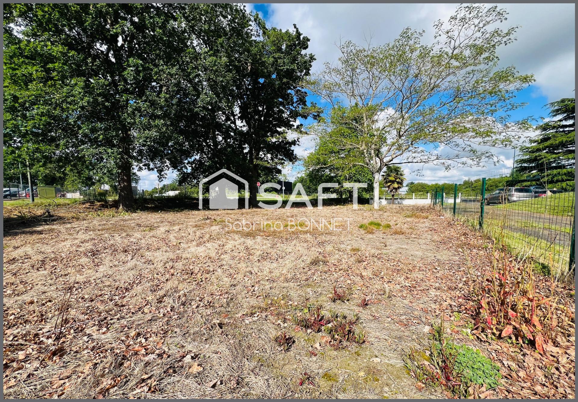 Photo-terrain