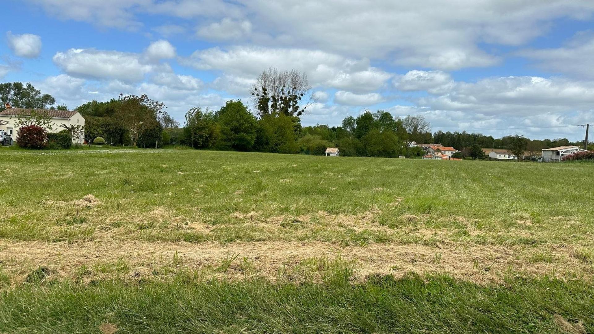 Photo-terrain