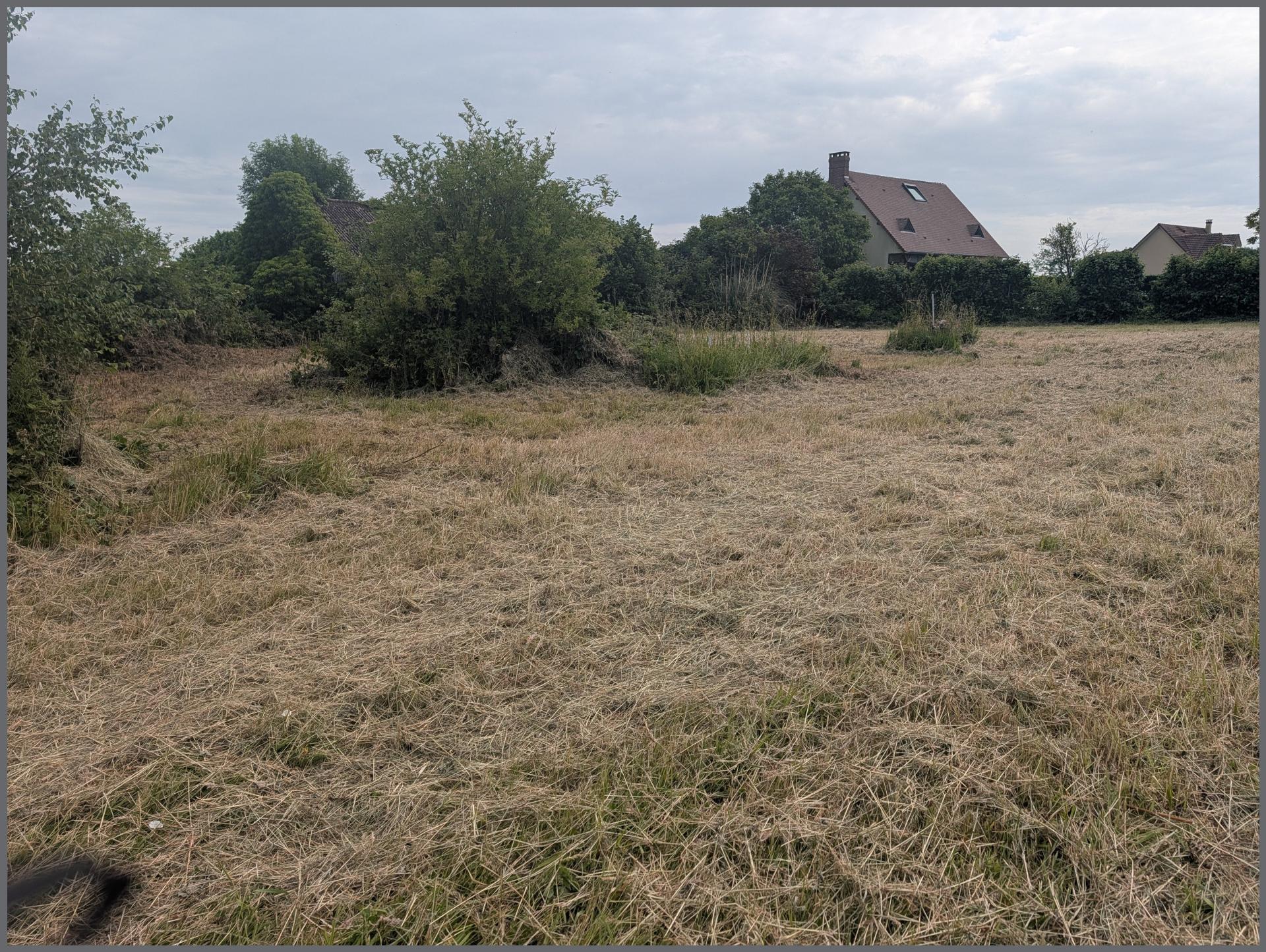 Photo-terrain